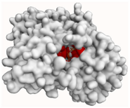 Molecules 29 00233 i006 Molecules 29 00233 i006