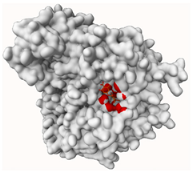 Molecules 29 00233 i007 Molecules 29 00233 i007