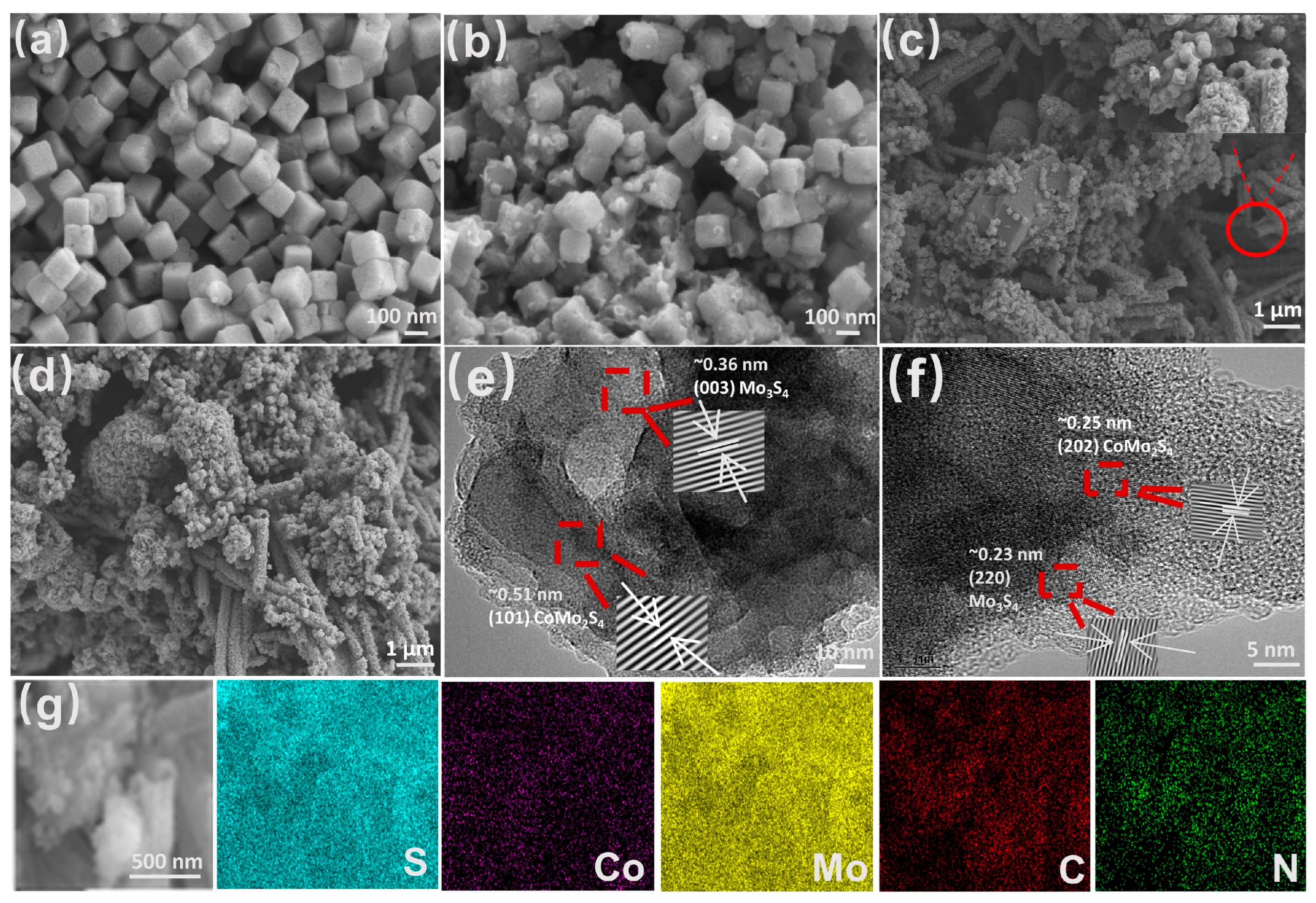 Molecules 29 00234 g002