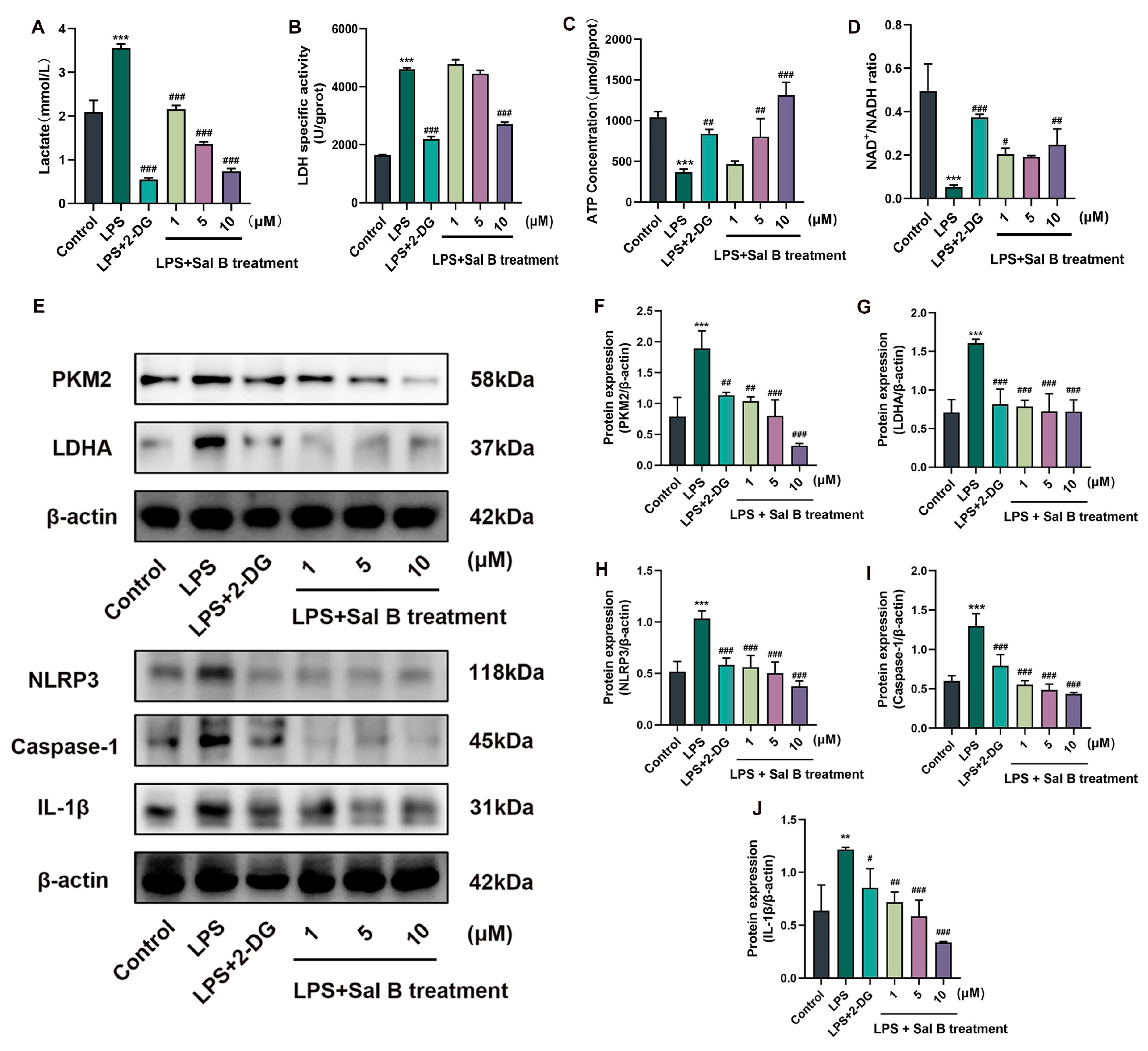 Molecules 29 00236 g002