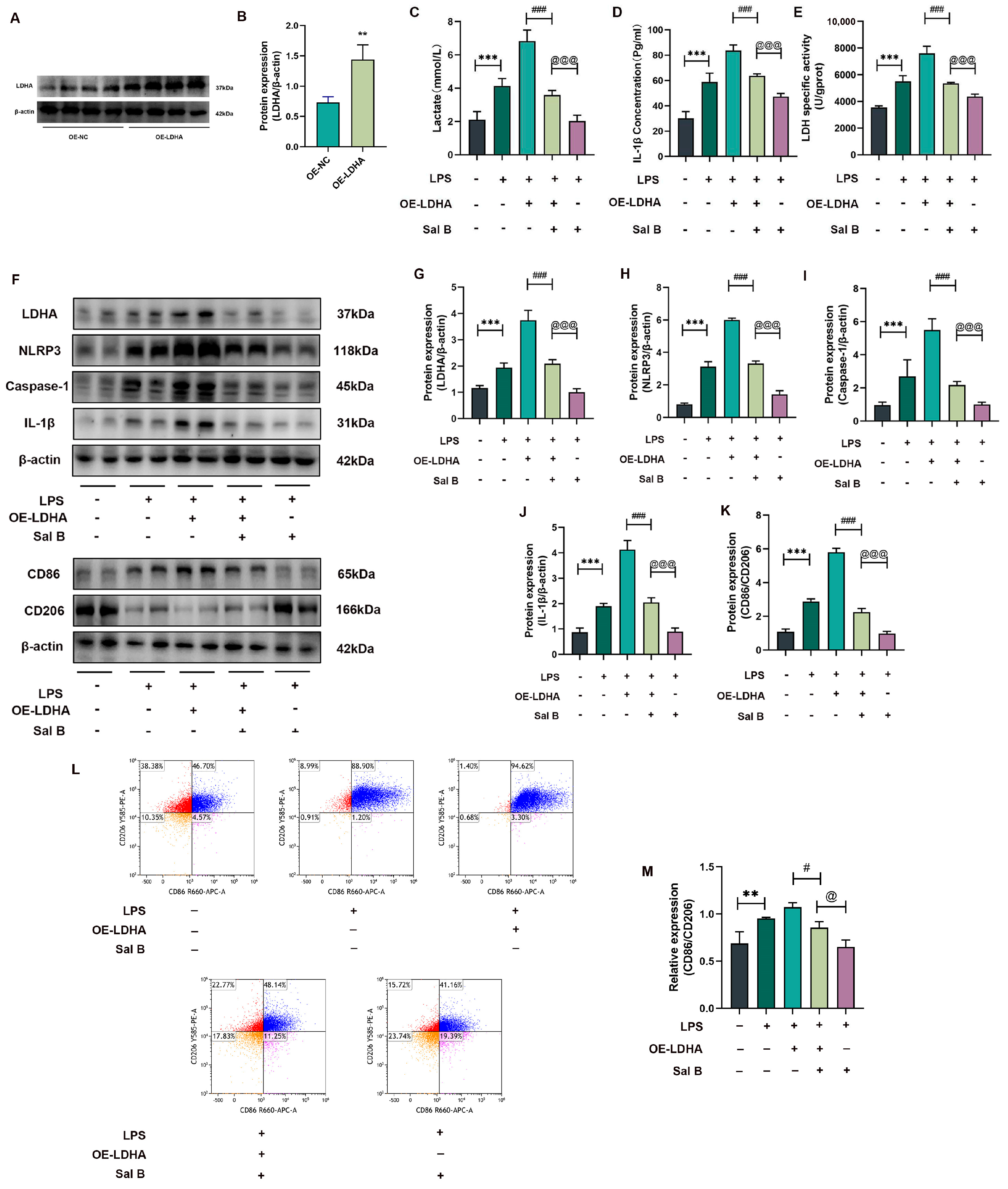 Molecules 29 00236 g003