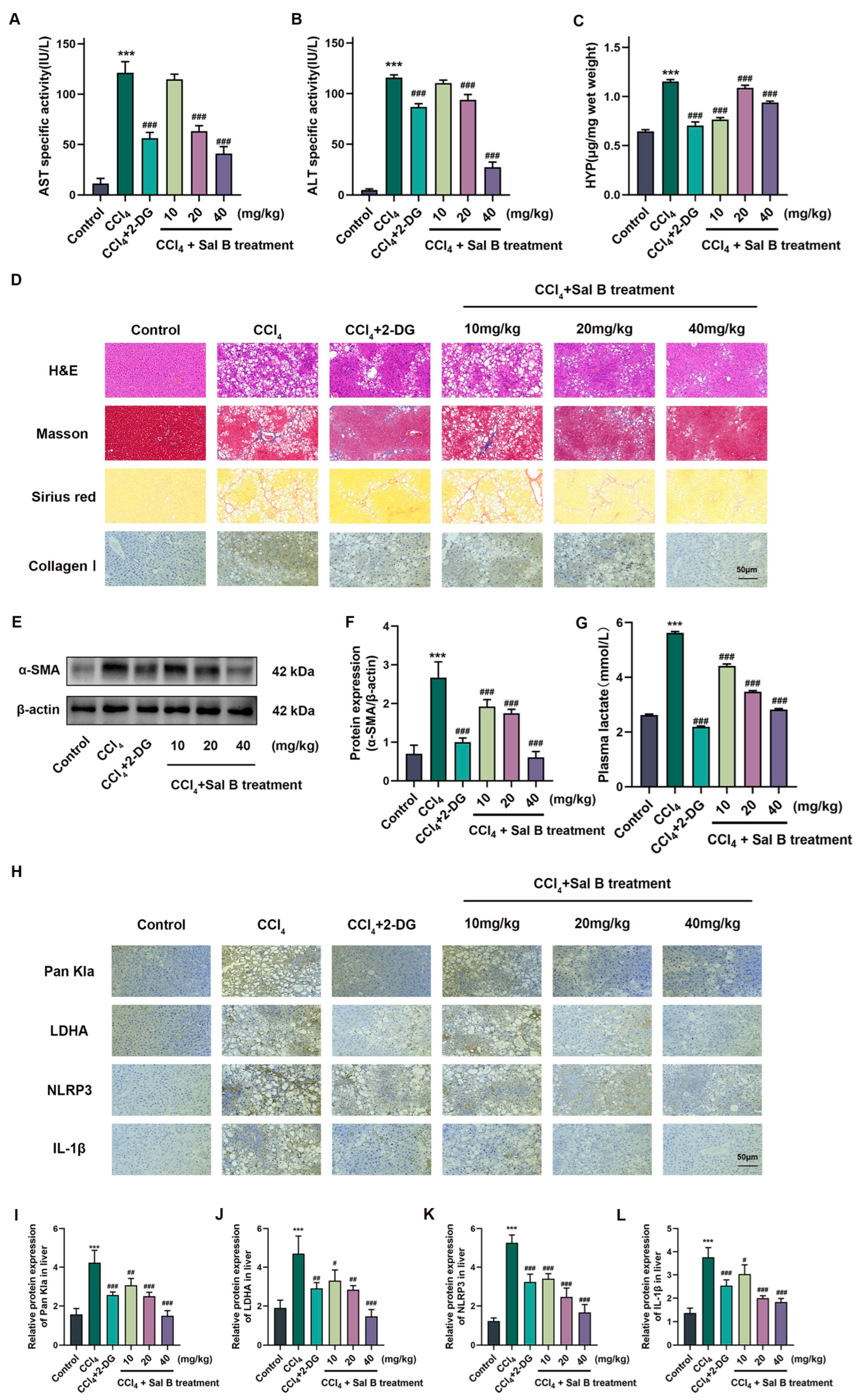Molecules 29 00236 g005