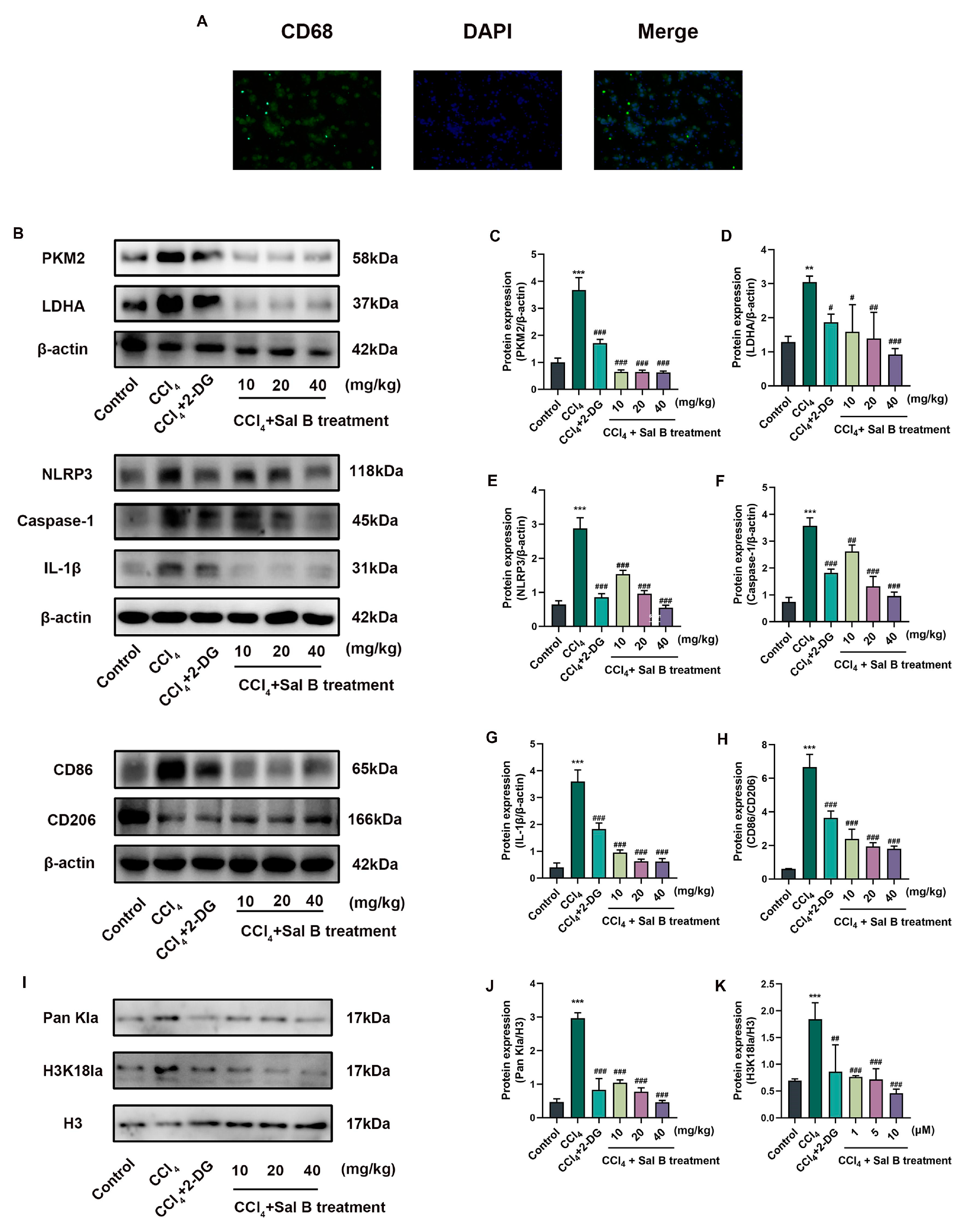 Molecules 29 00236 g006