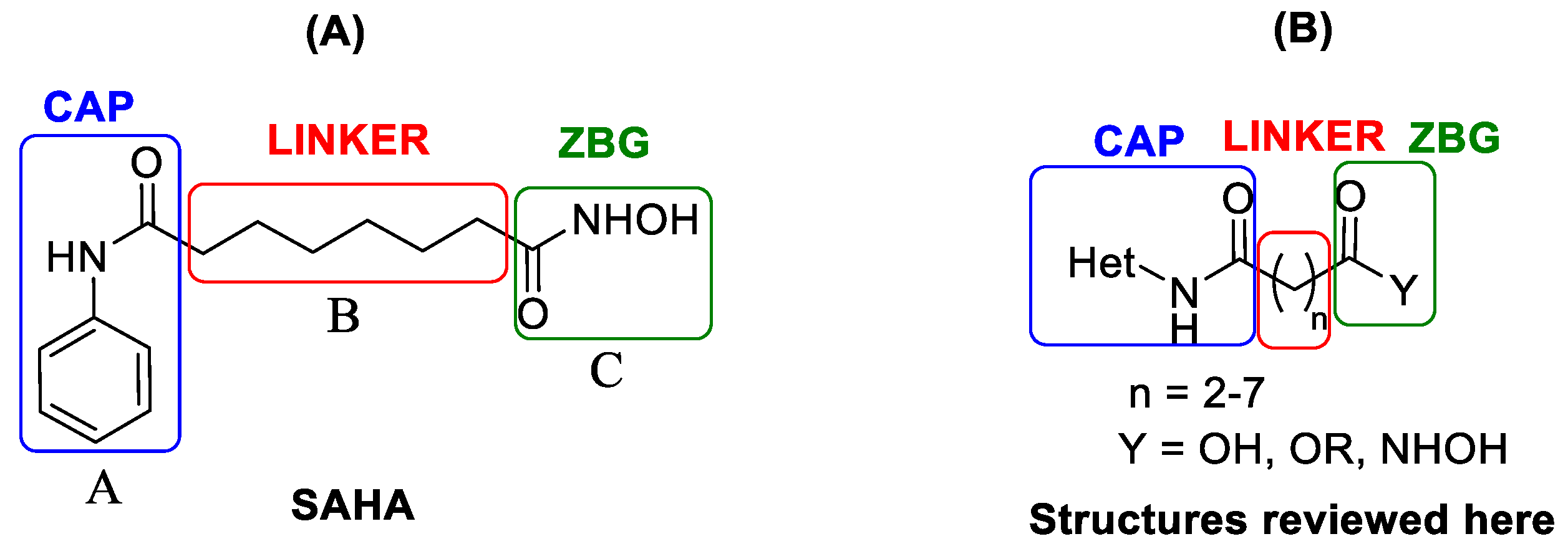 Molecules 29 00238 g002
