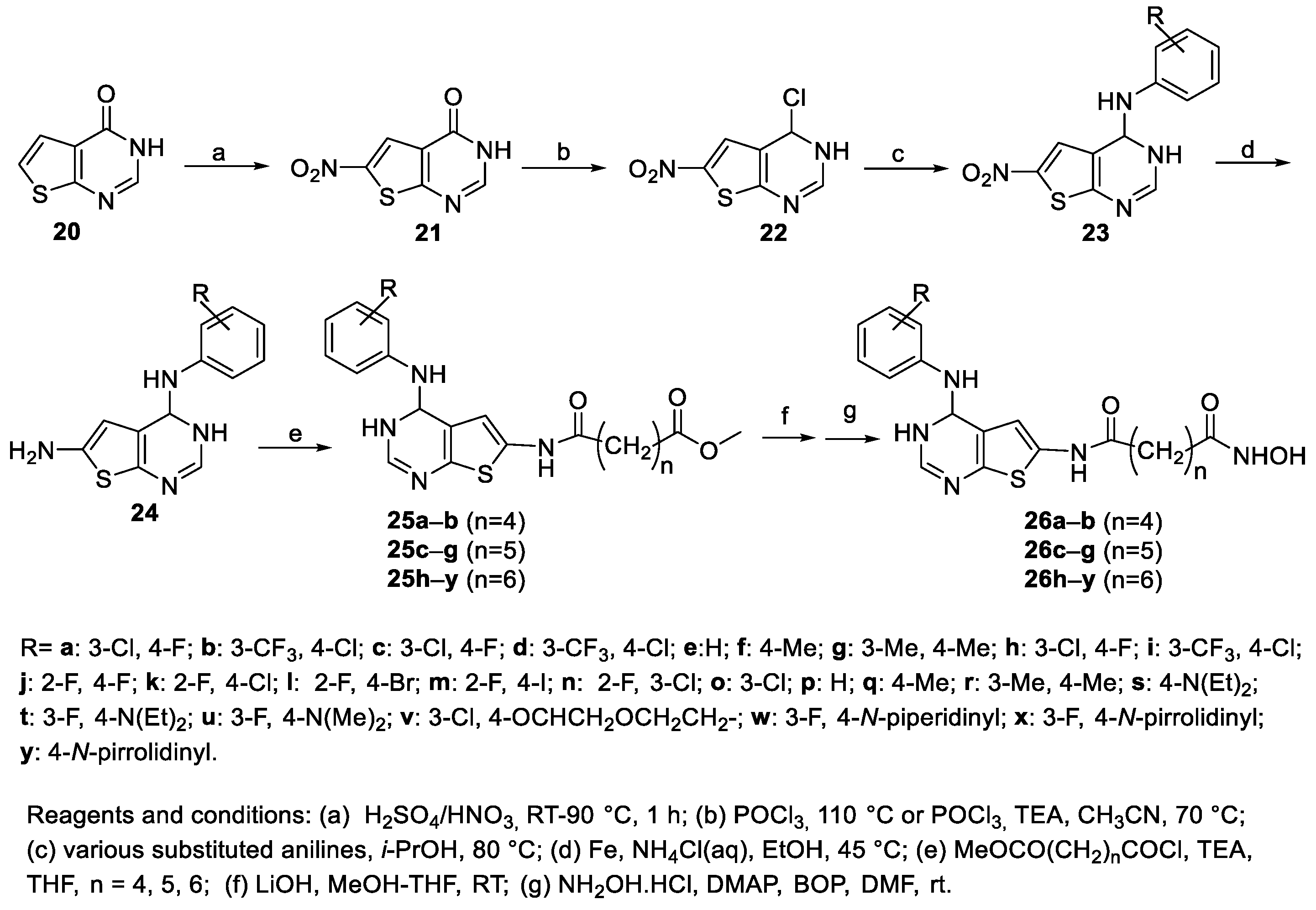 Molecules 29 00238 sch005