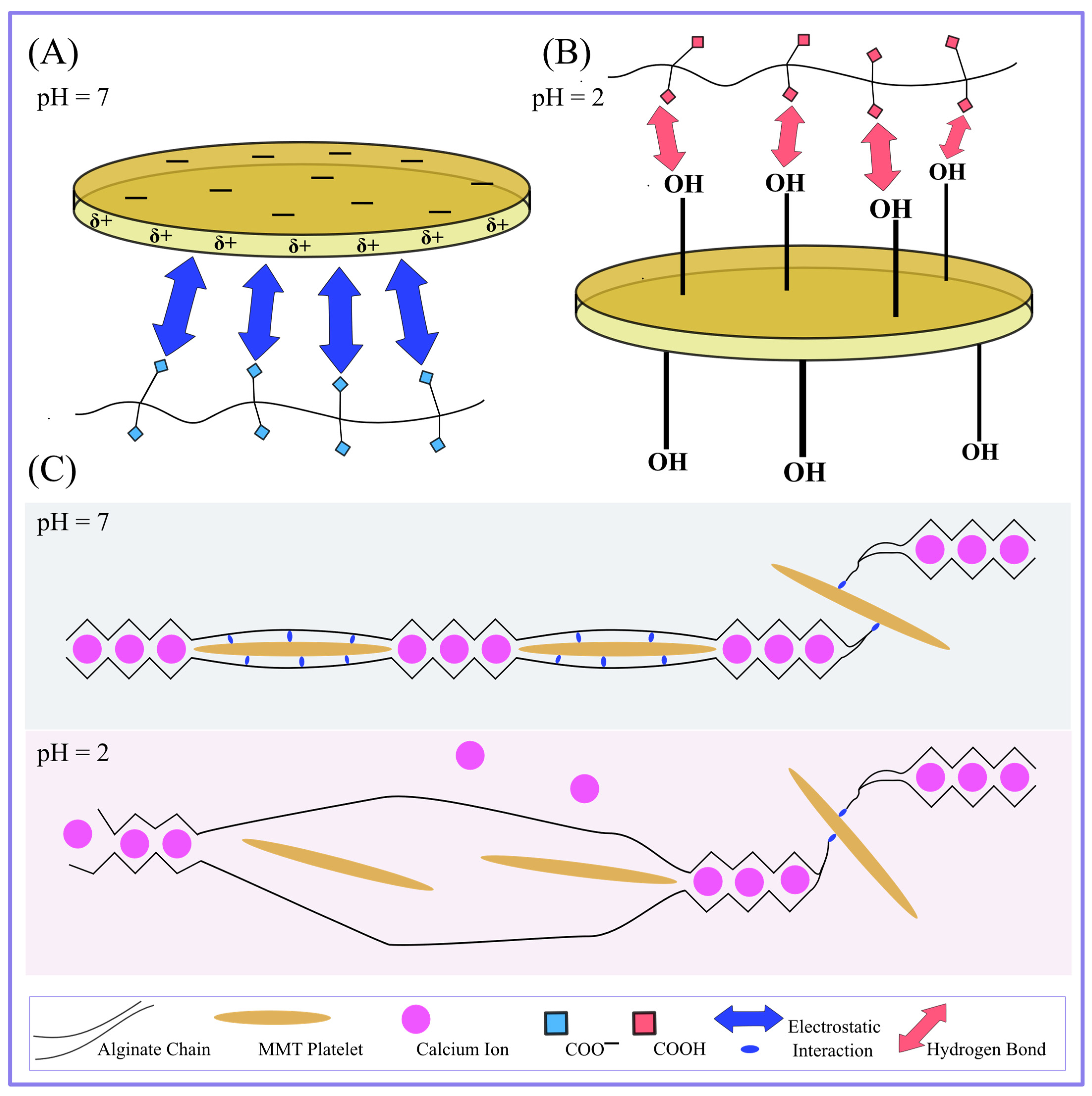 Molecules 29 00244 g006