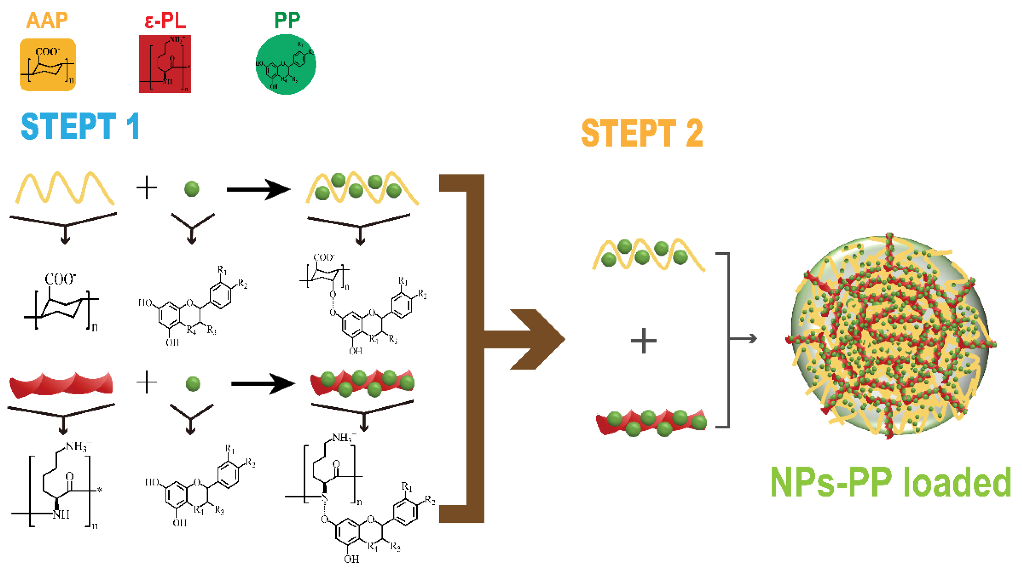 Molecules 29 00245 g009