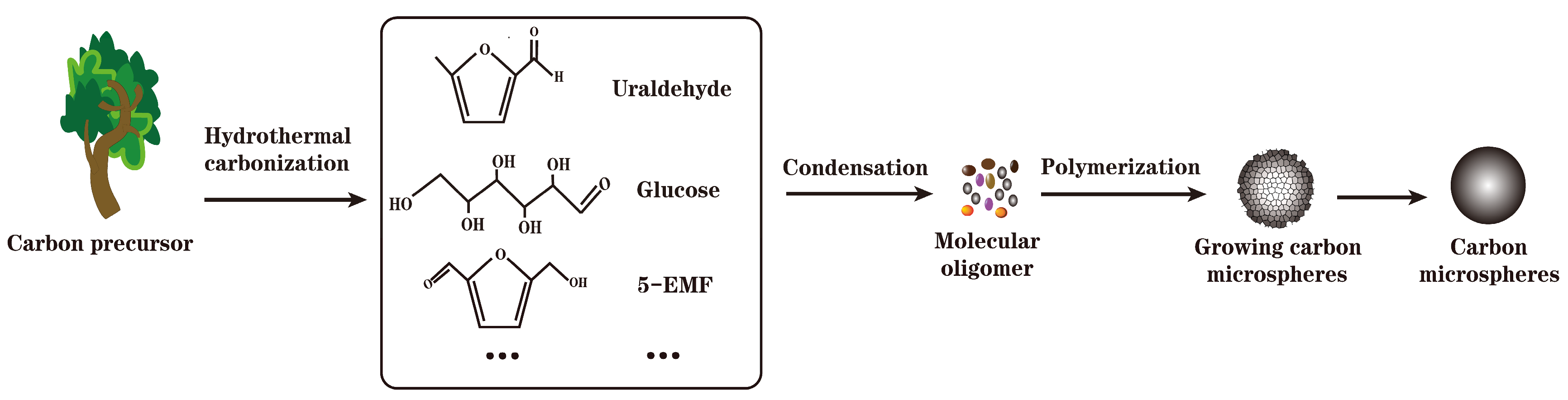 Molecules 29 00247 g002