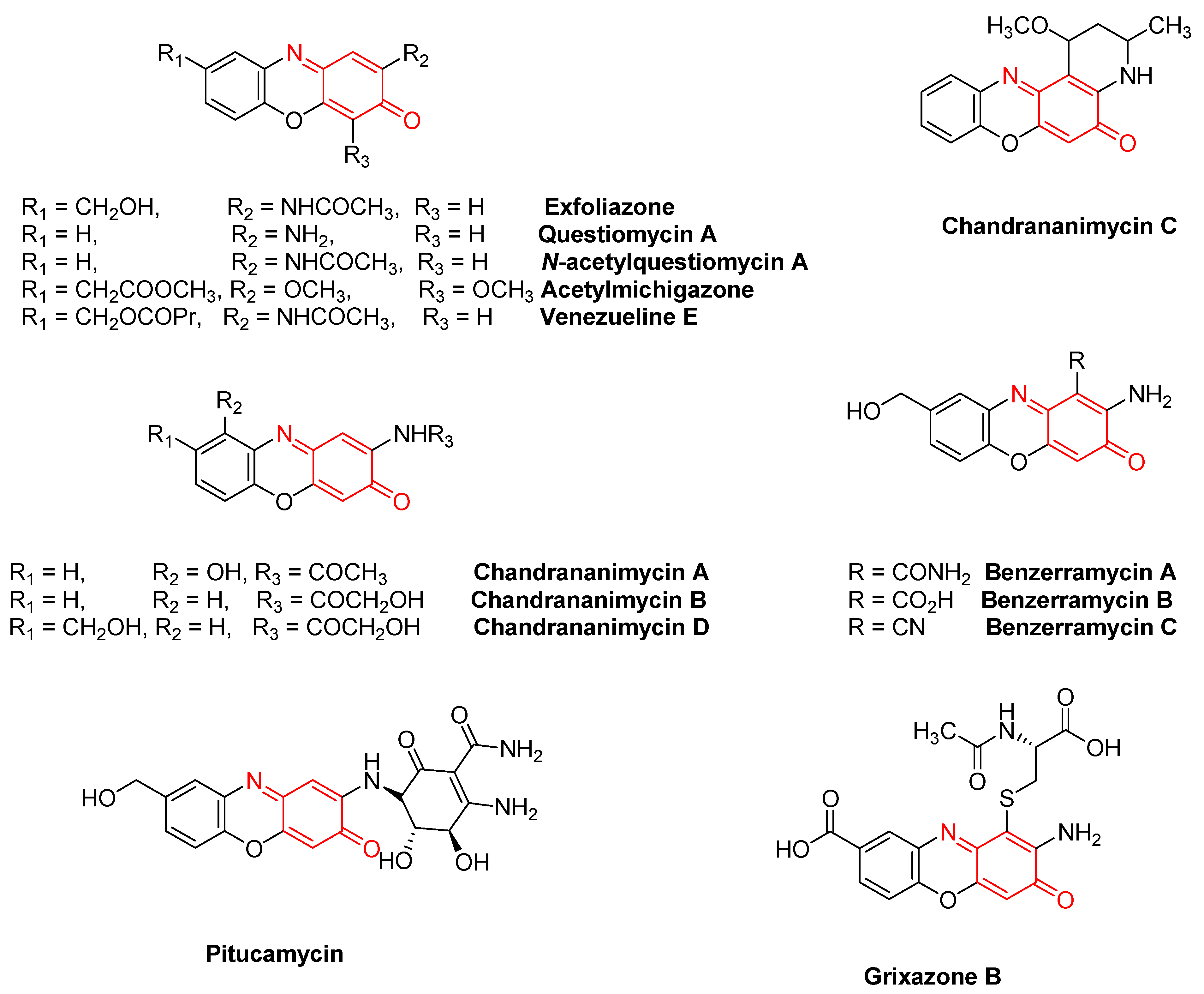 Molecules 29 00249 g002