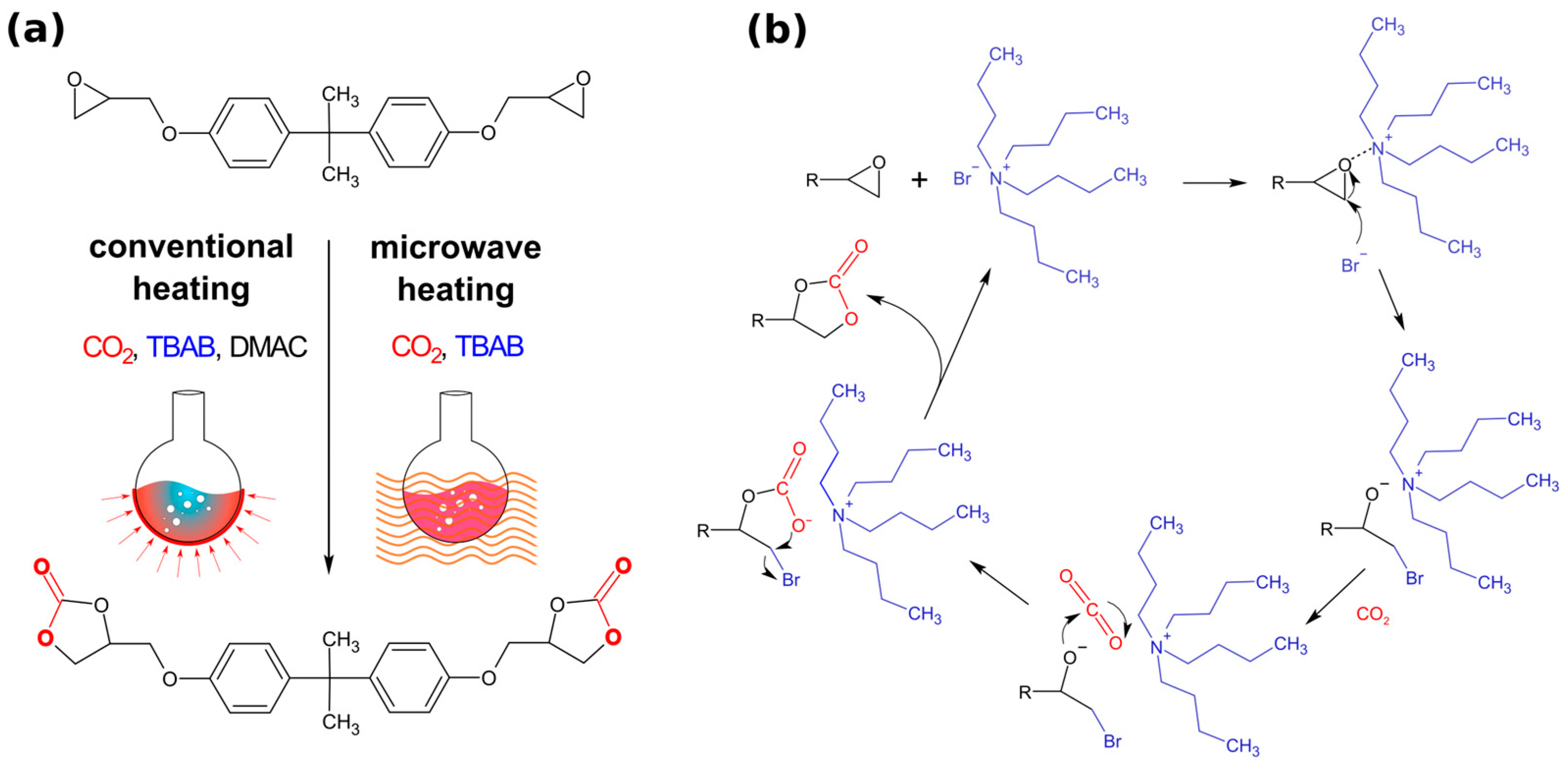 Molecules 29 00250 g001