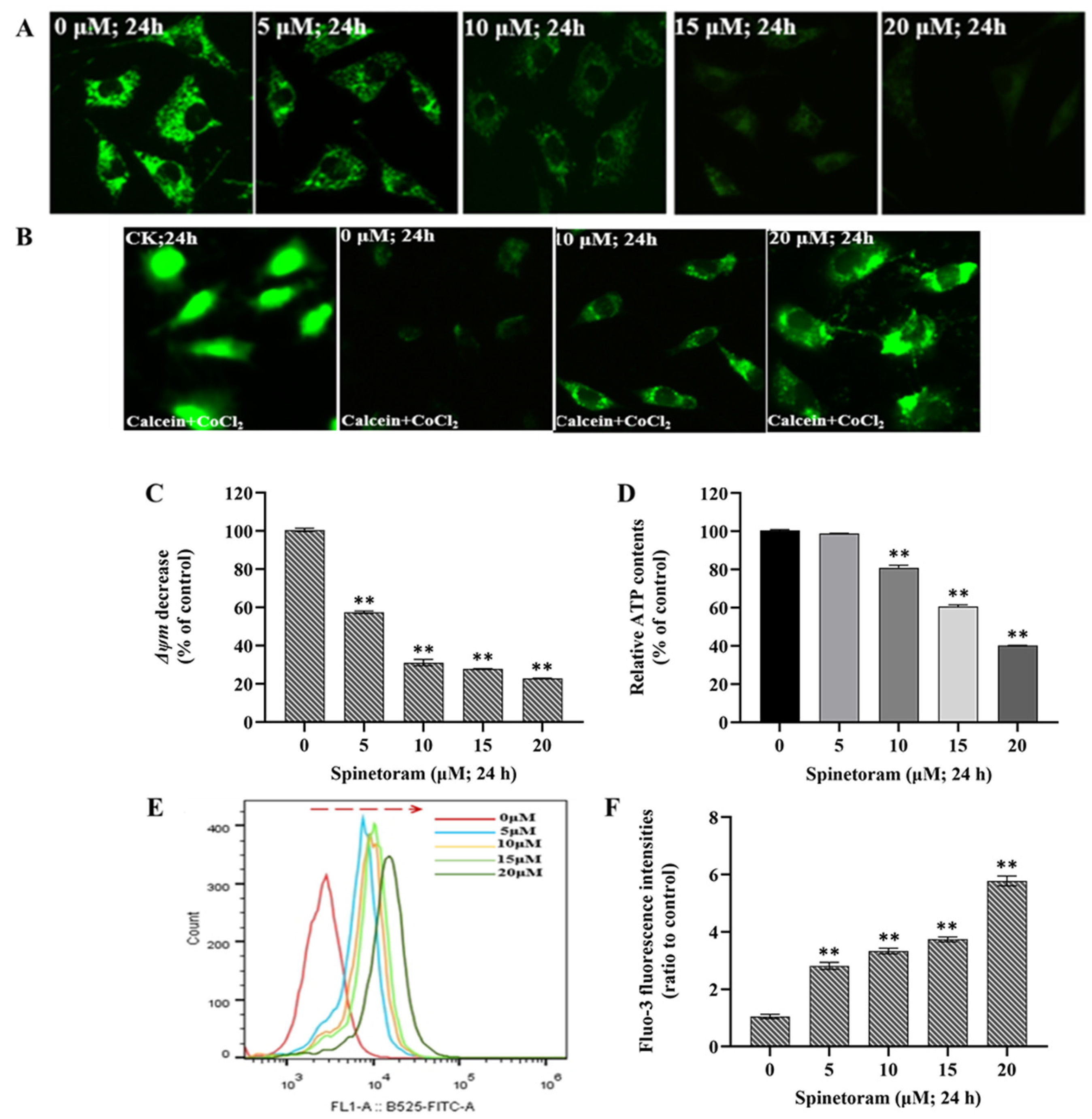 Molecules 29 00253 g002