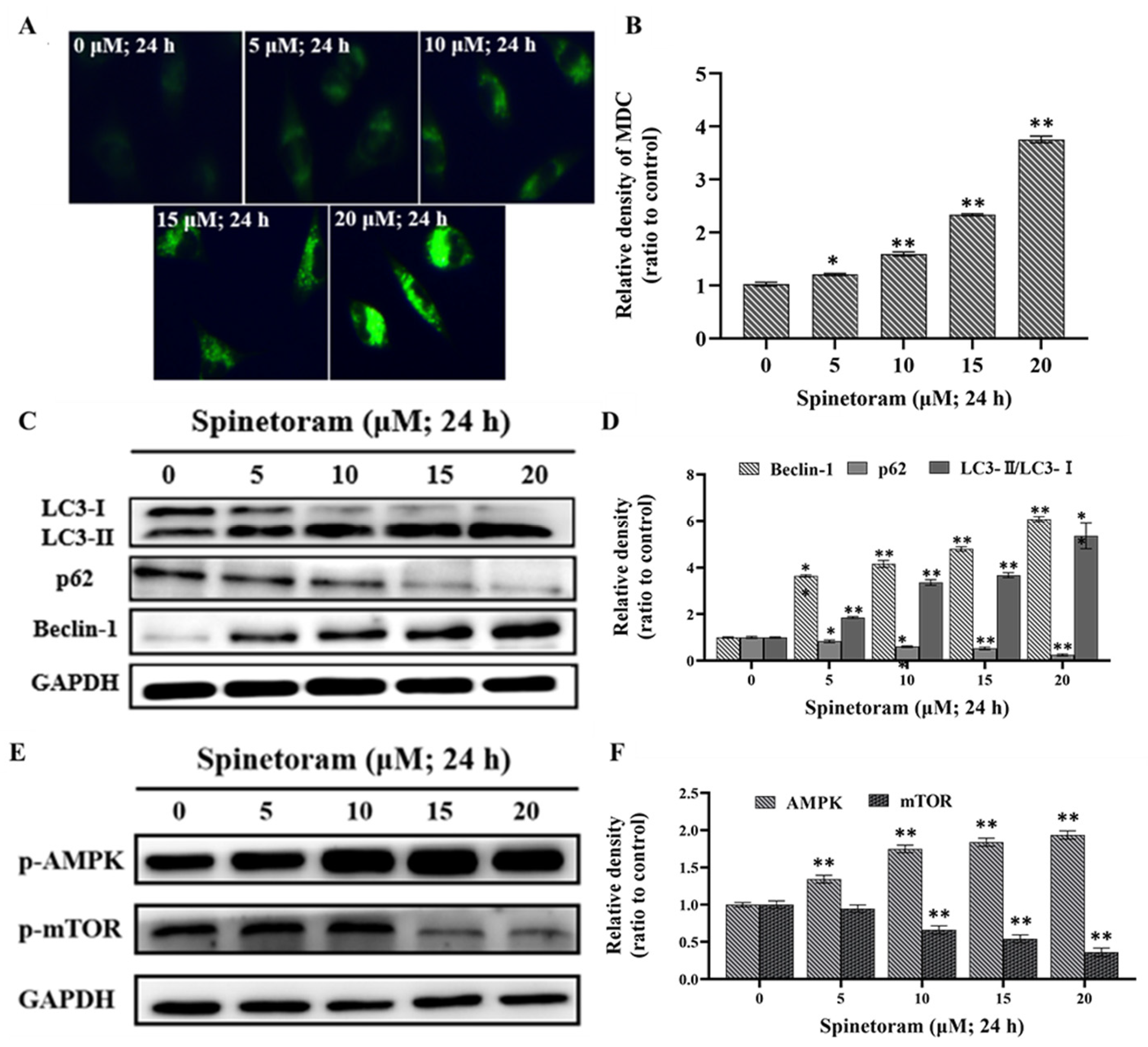 Molecules 29 00253 g004