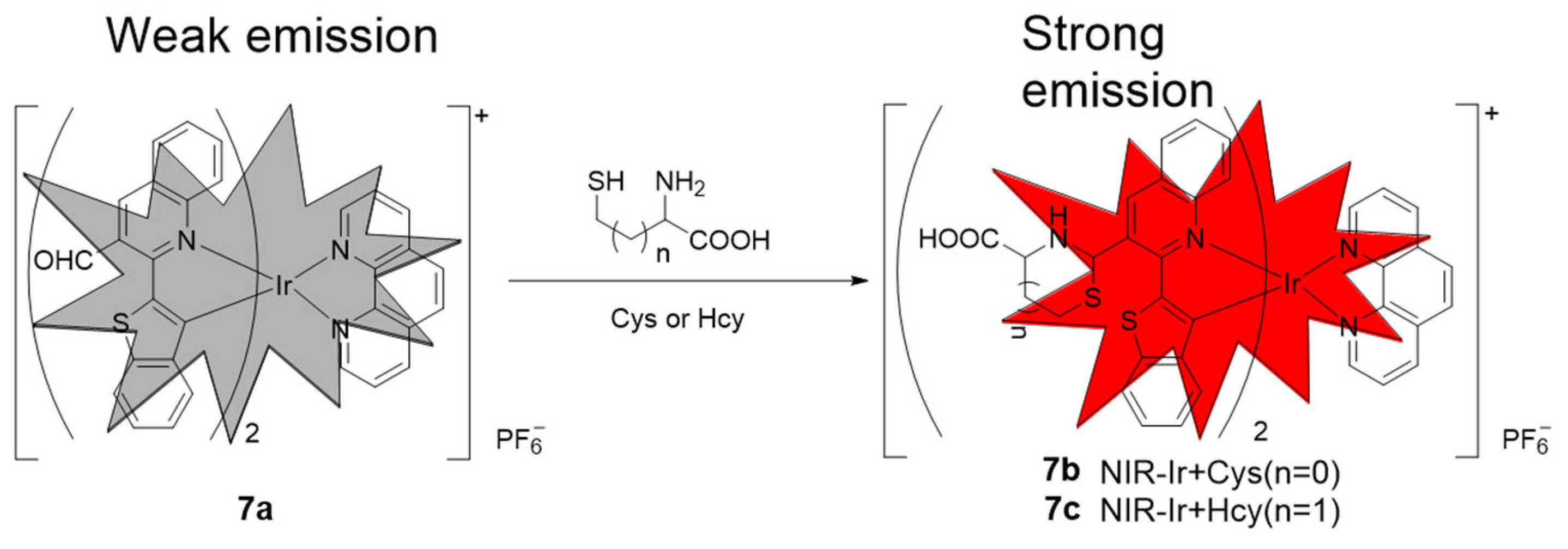 Molecules 29 00256 g006