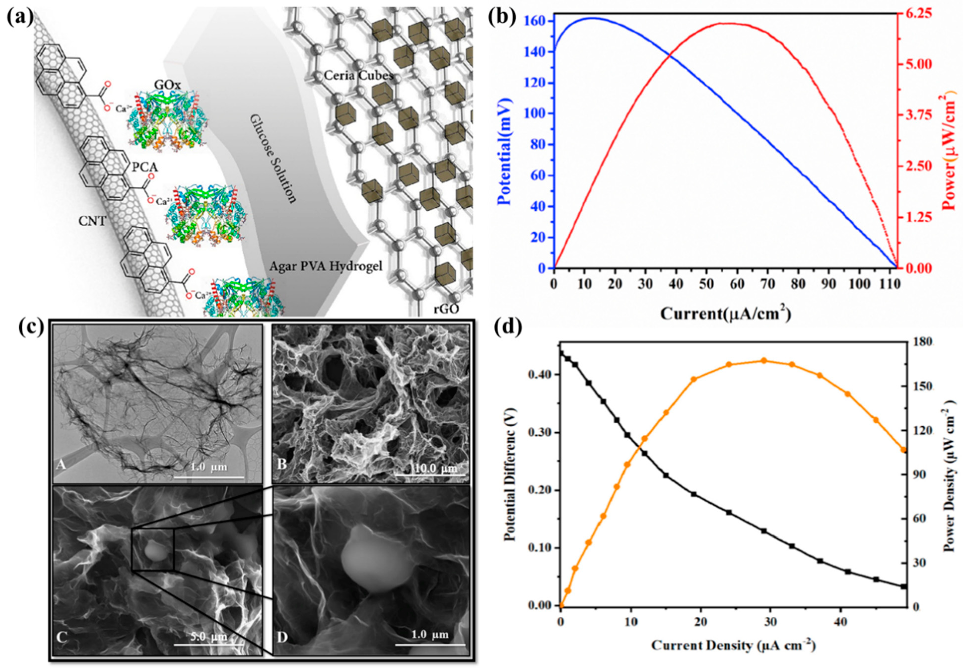 Molecules 29 00257 g003