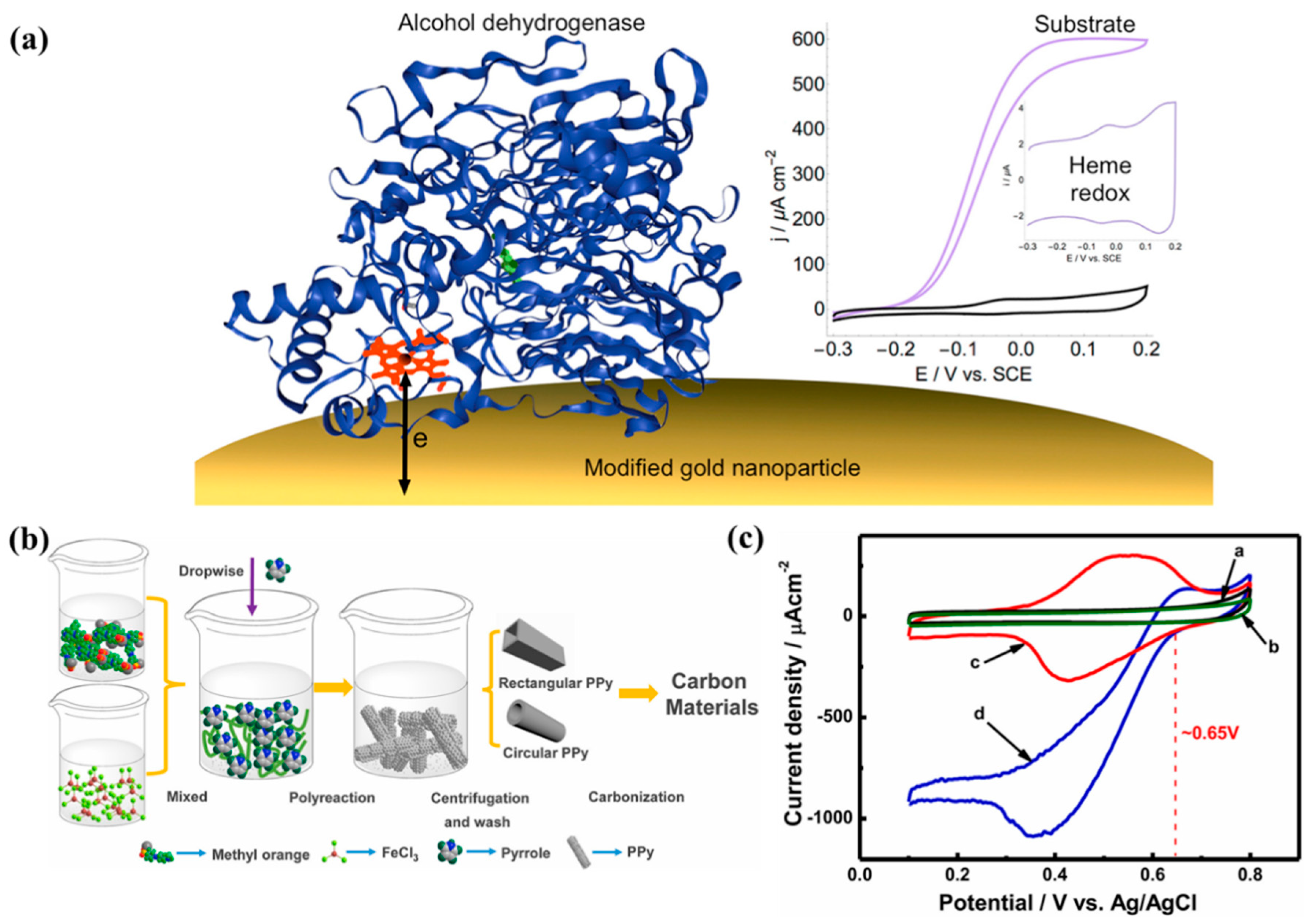 Molecules 29 00257 g005