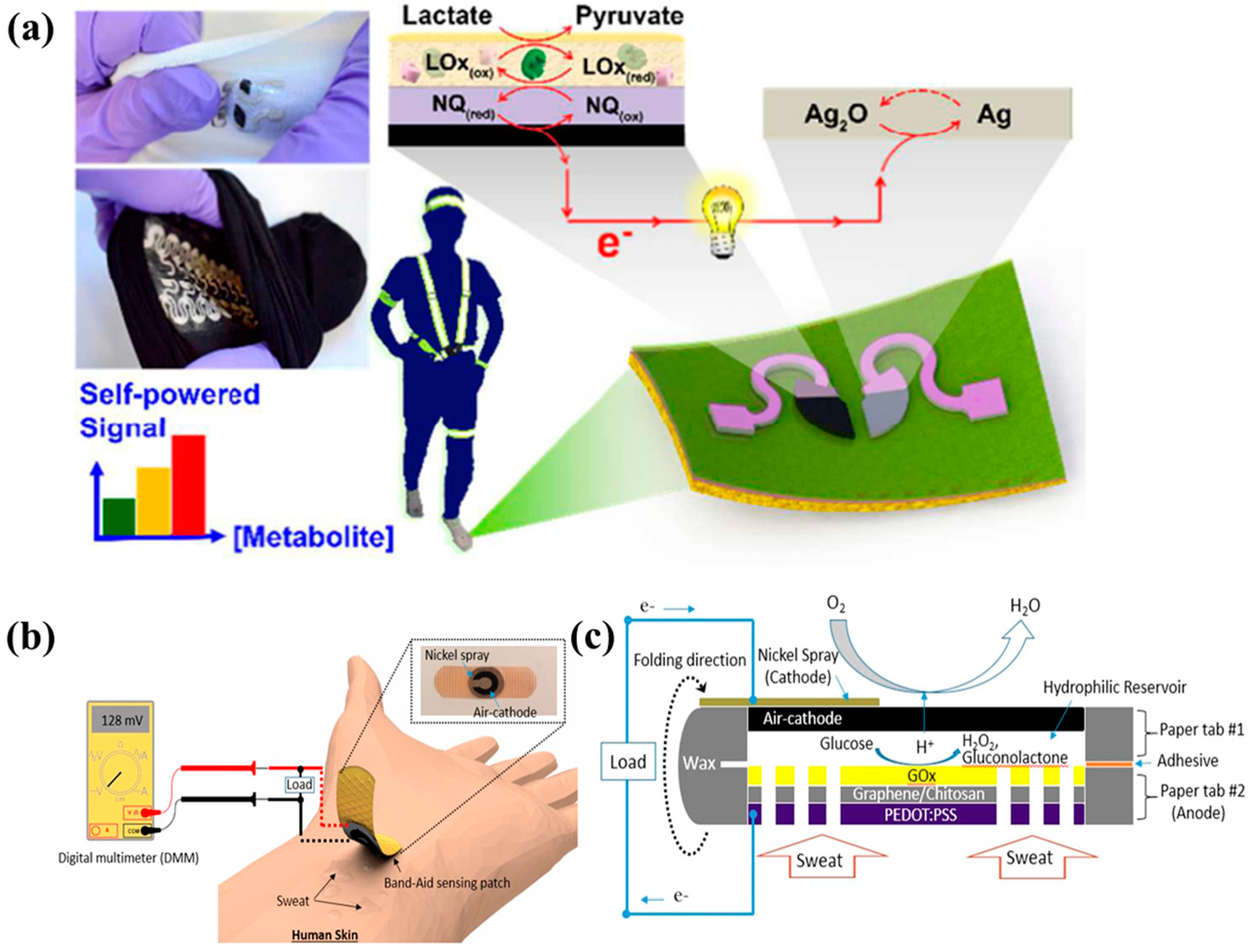 Molecules 29 00257 g006