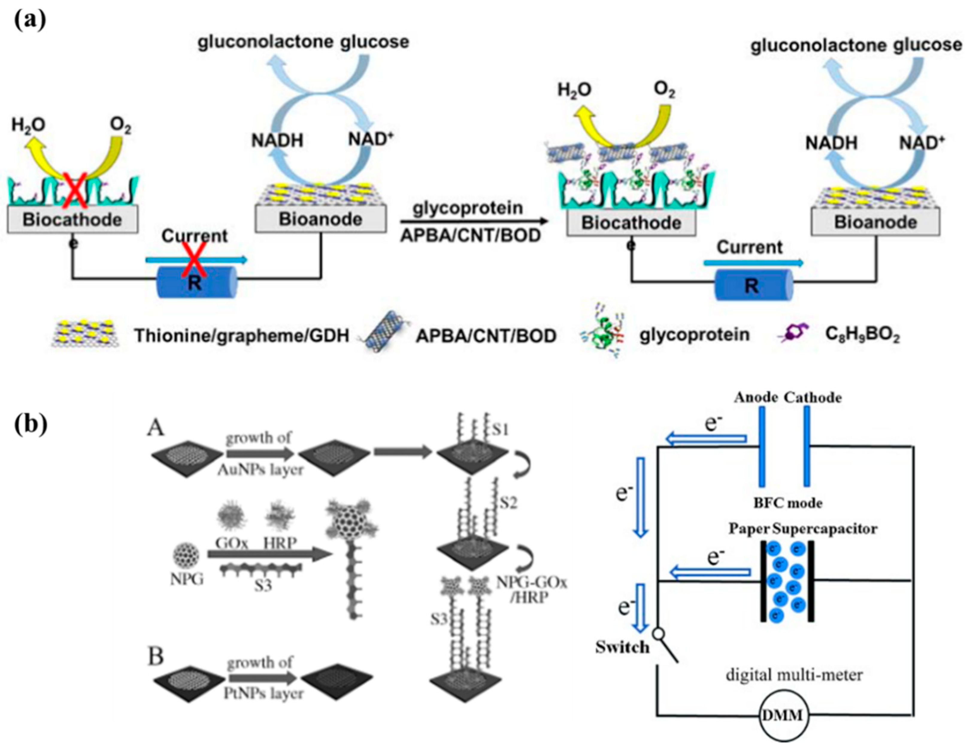 Molecules 29 00257 g008