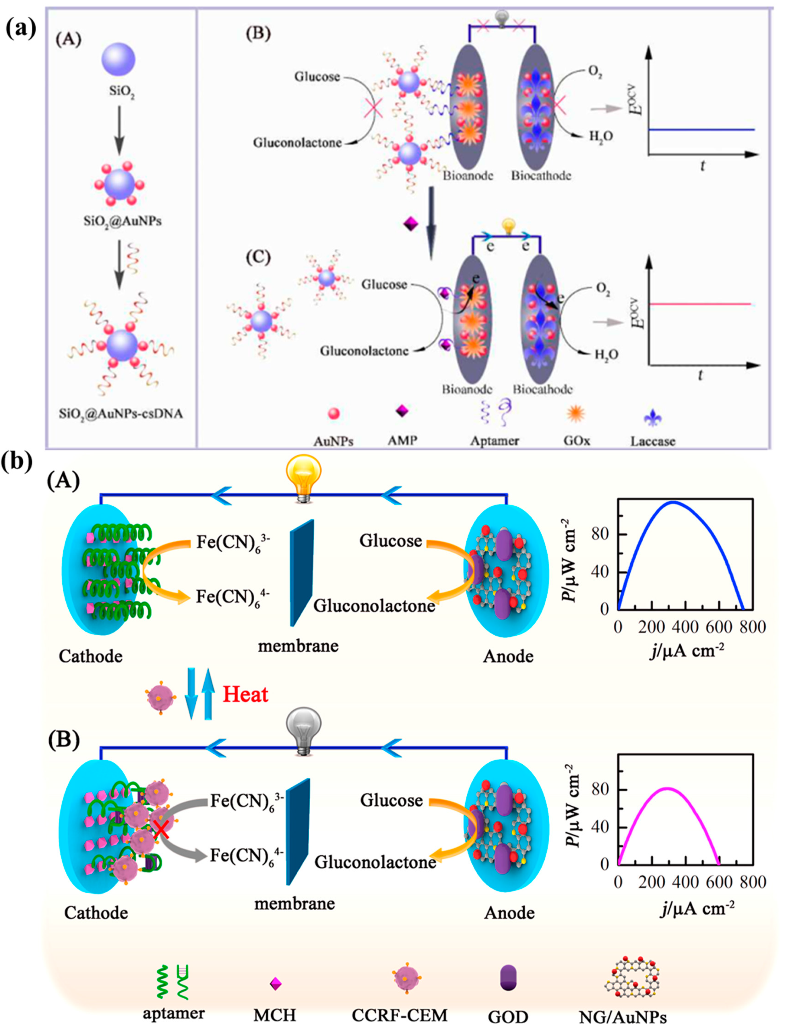 Molecules 29 00257 g009