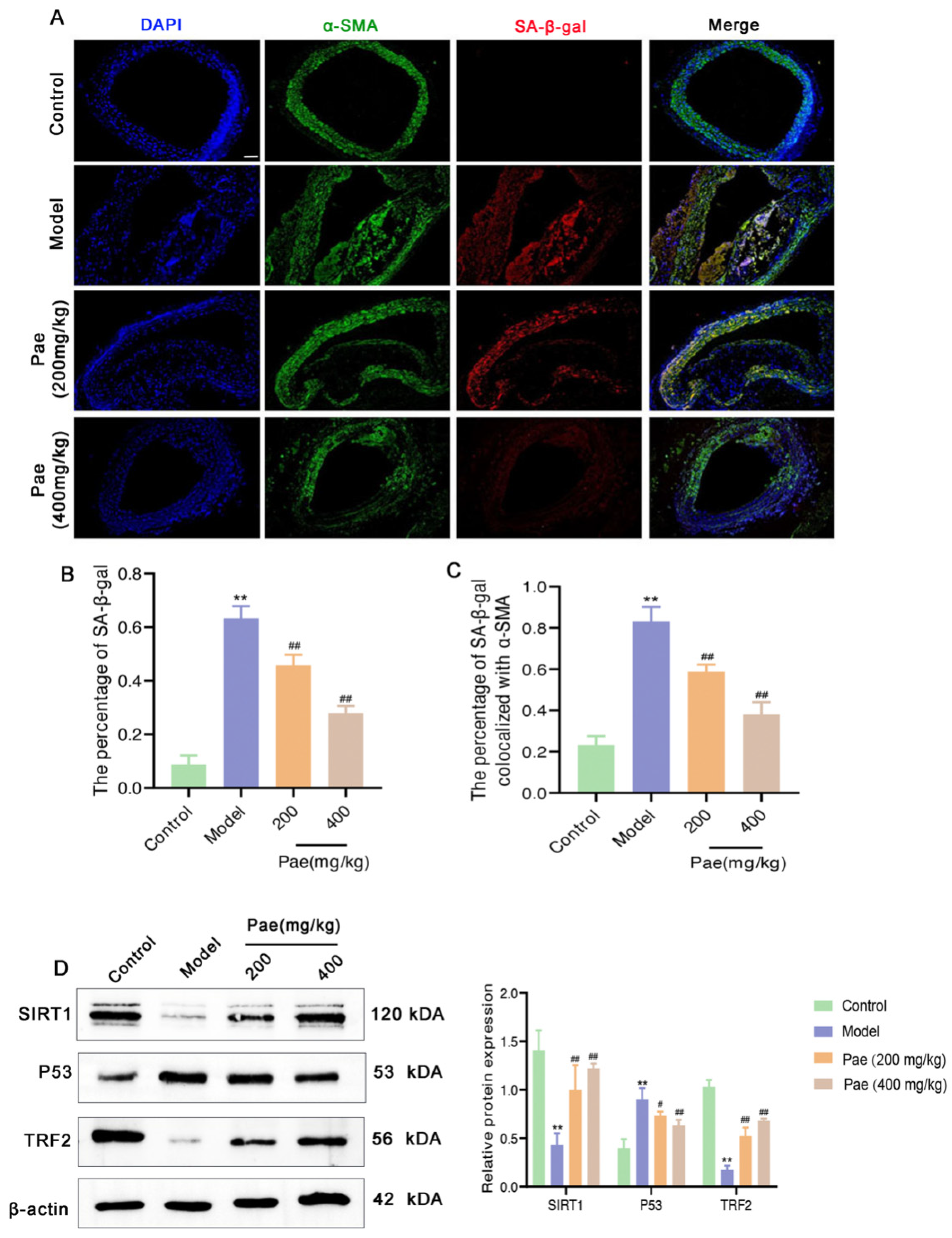 Molecules 29 00261 g003