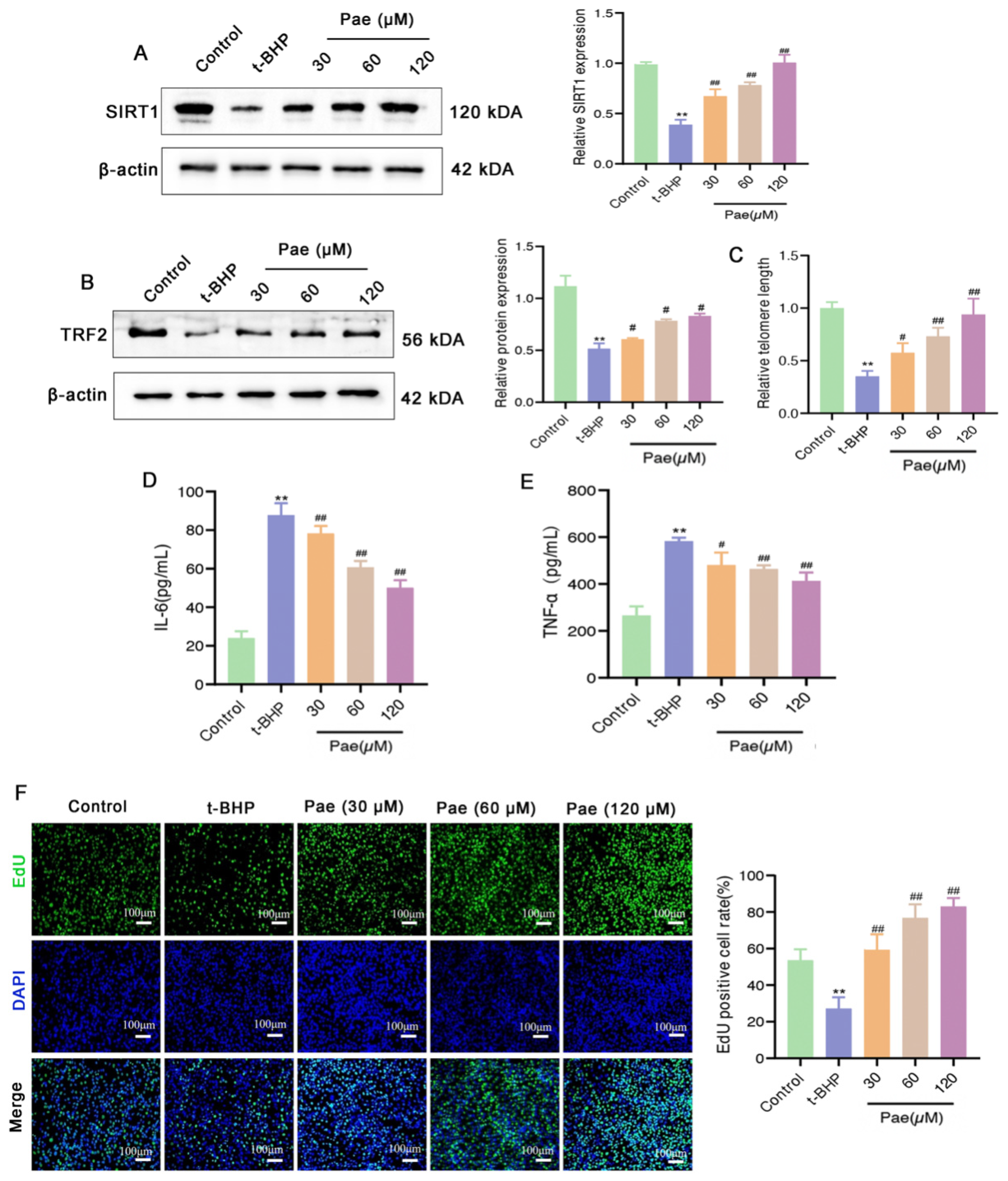 Molecules 29 00261 g005