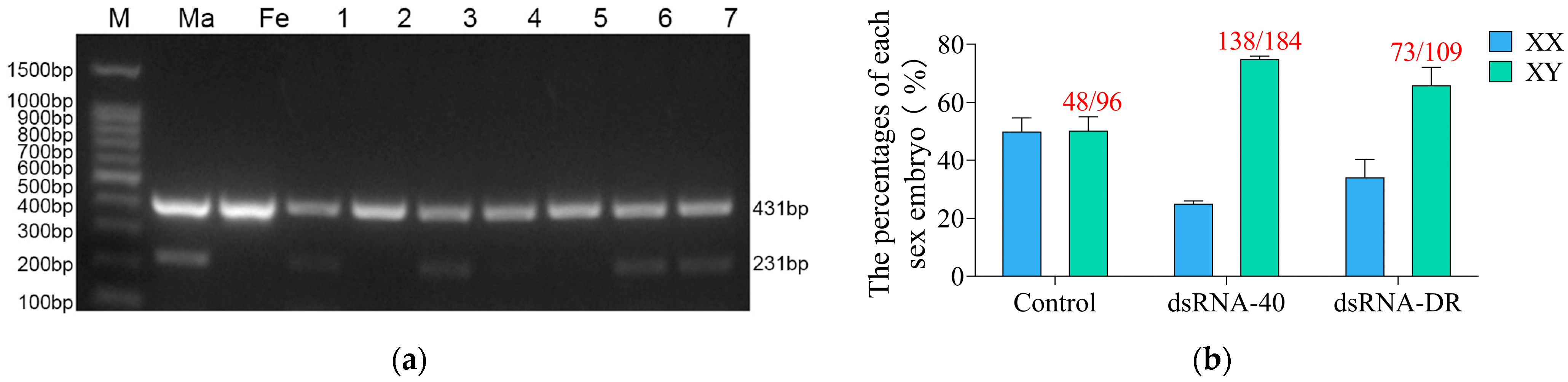 Molecules 29 00262 g005 Molecules 29 00262 g005