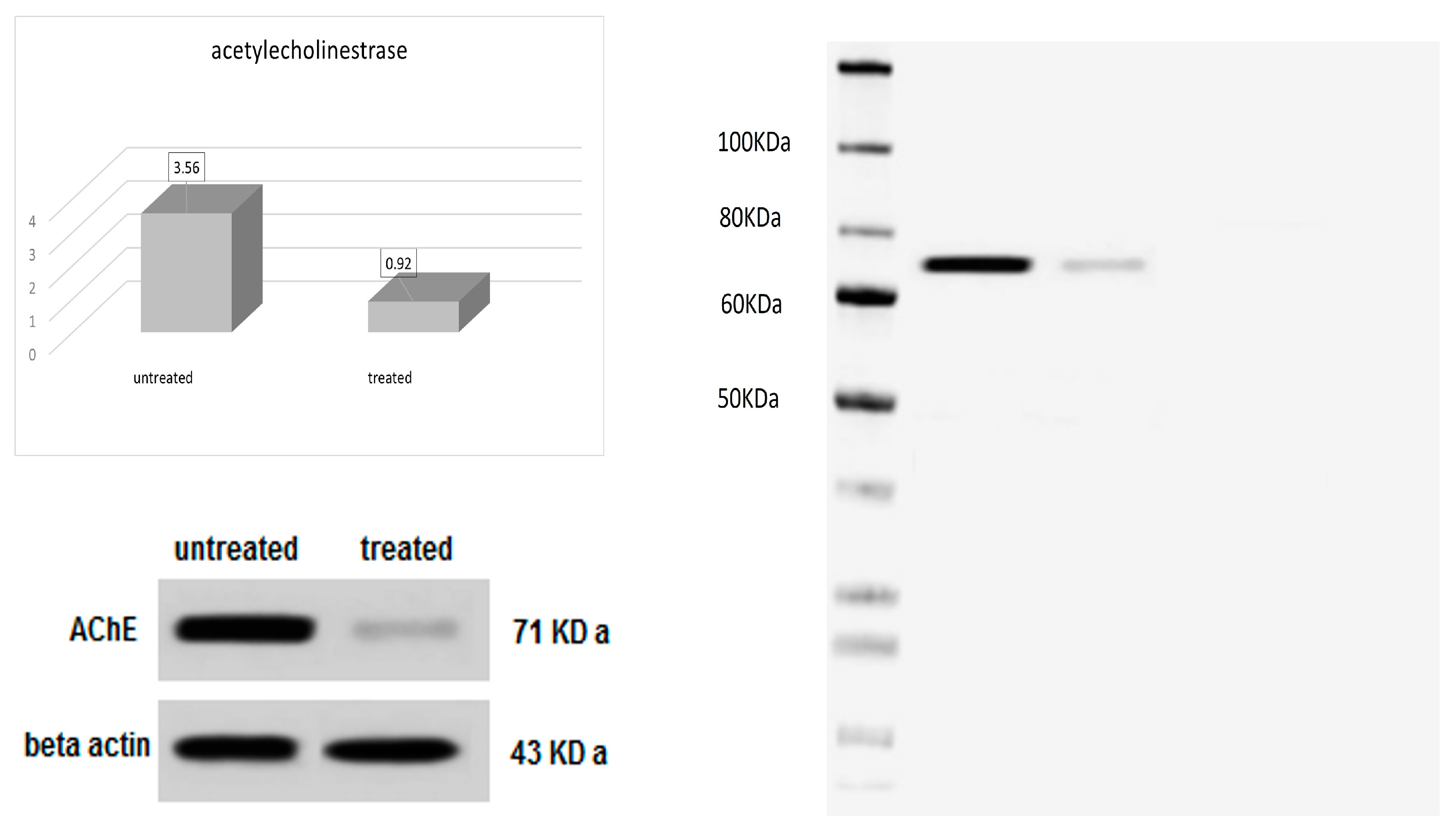 Molecules 29 00271 g004