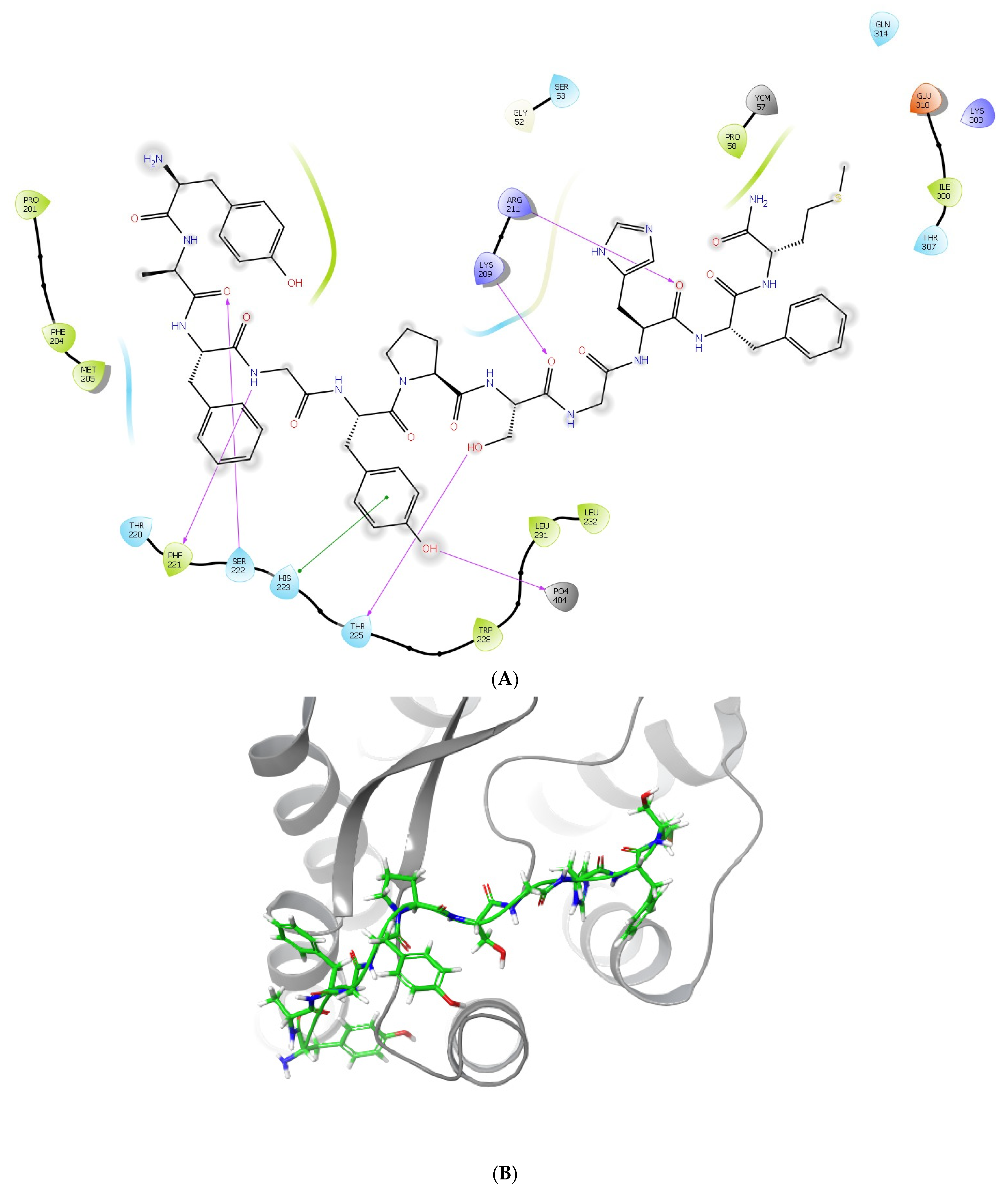 Molecules 29 00272 g004a