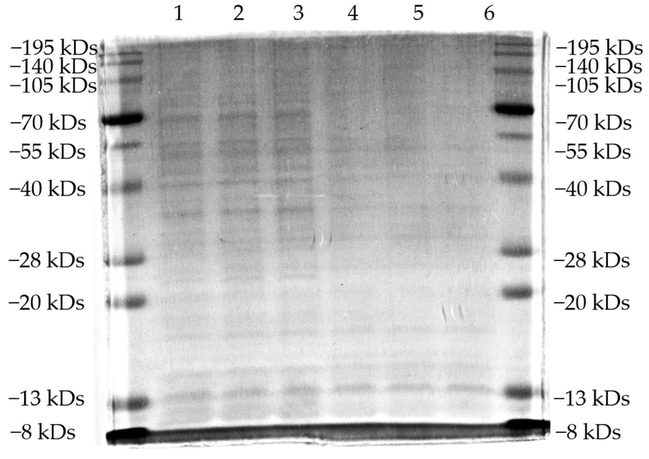 Molecules 29 00273 g007