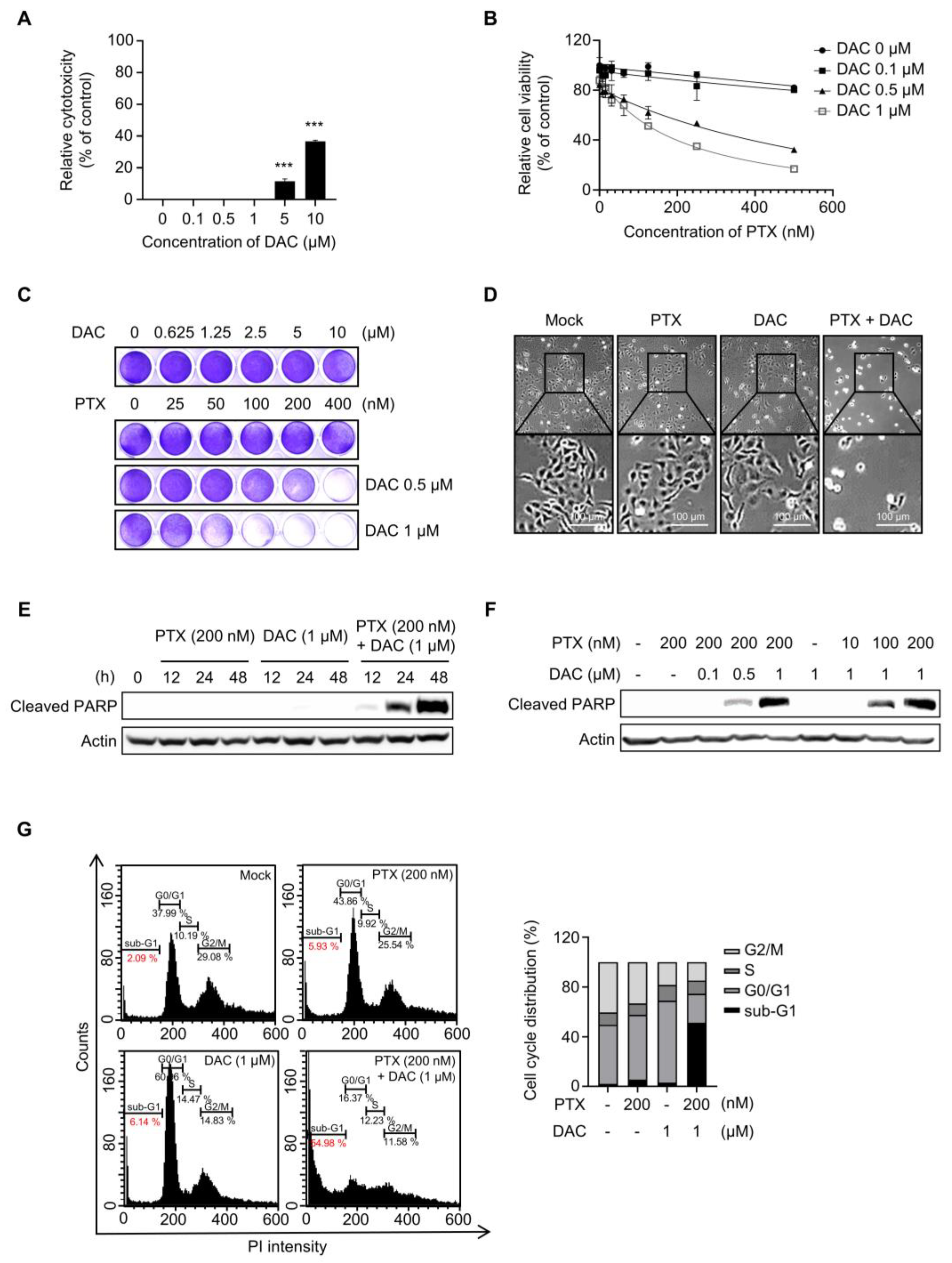 Molecules 29 00274 g001 Molecules 29 00274 g001