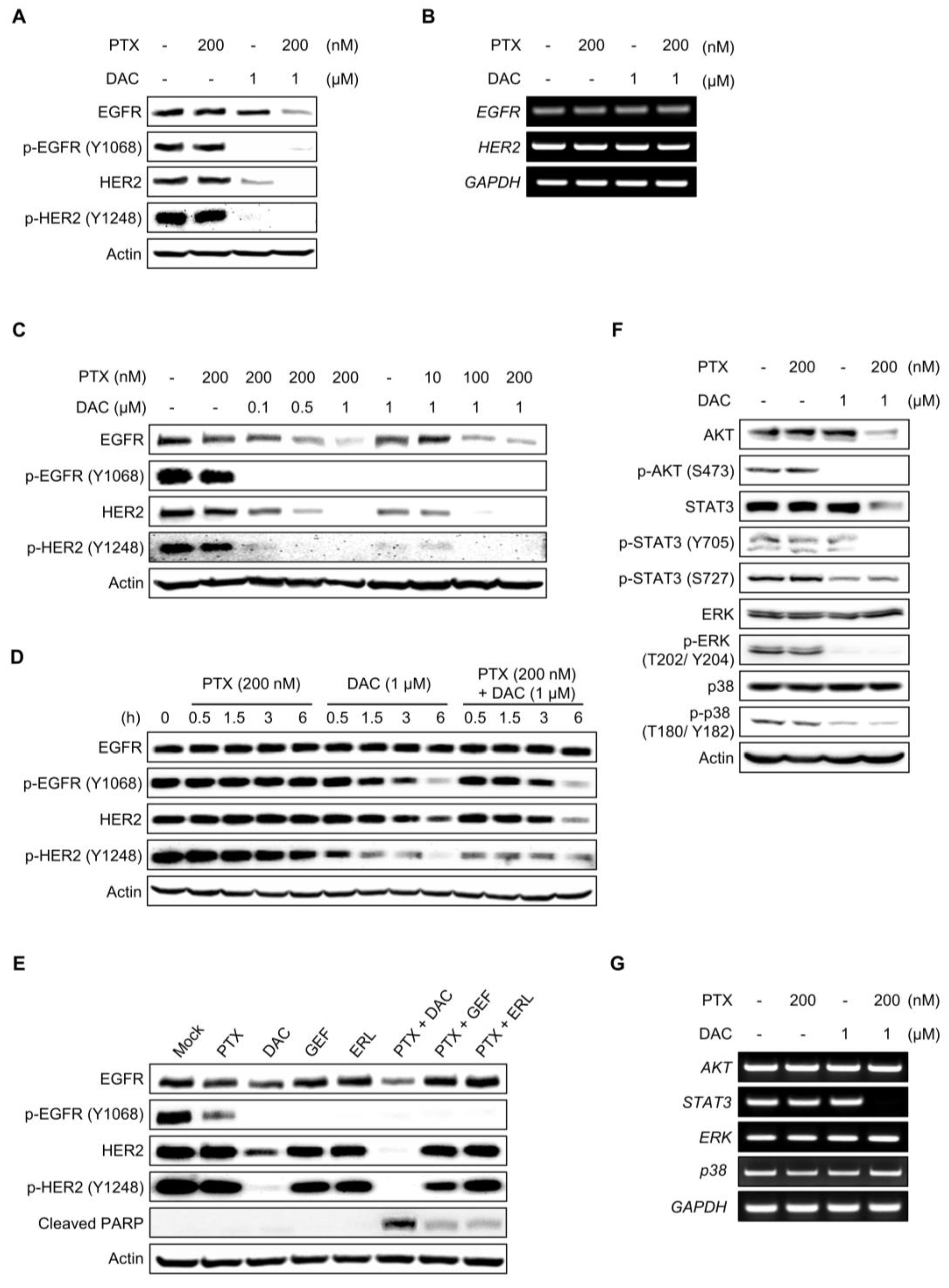 Molecules 29 00274 g002 Molecules 29 00274 g002