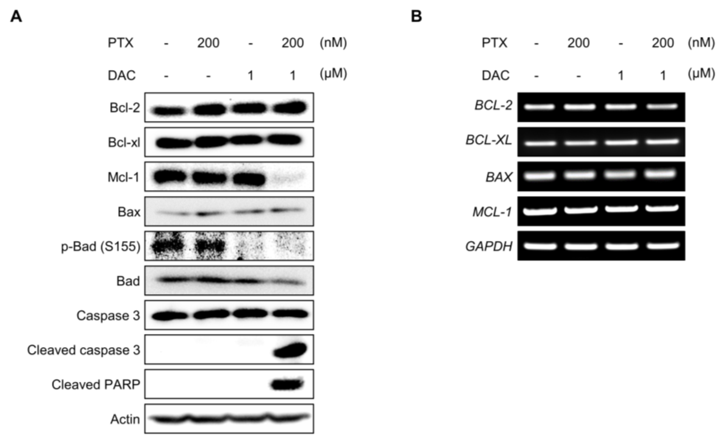 Molecules 29 00274 g005 Molecules 29 00274 g005