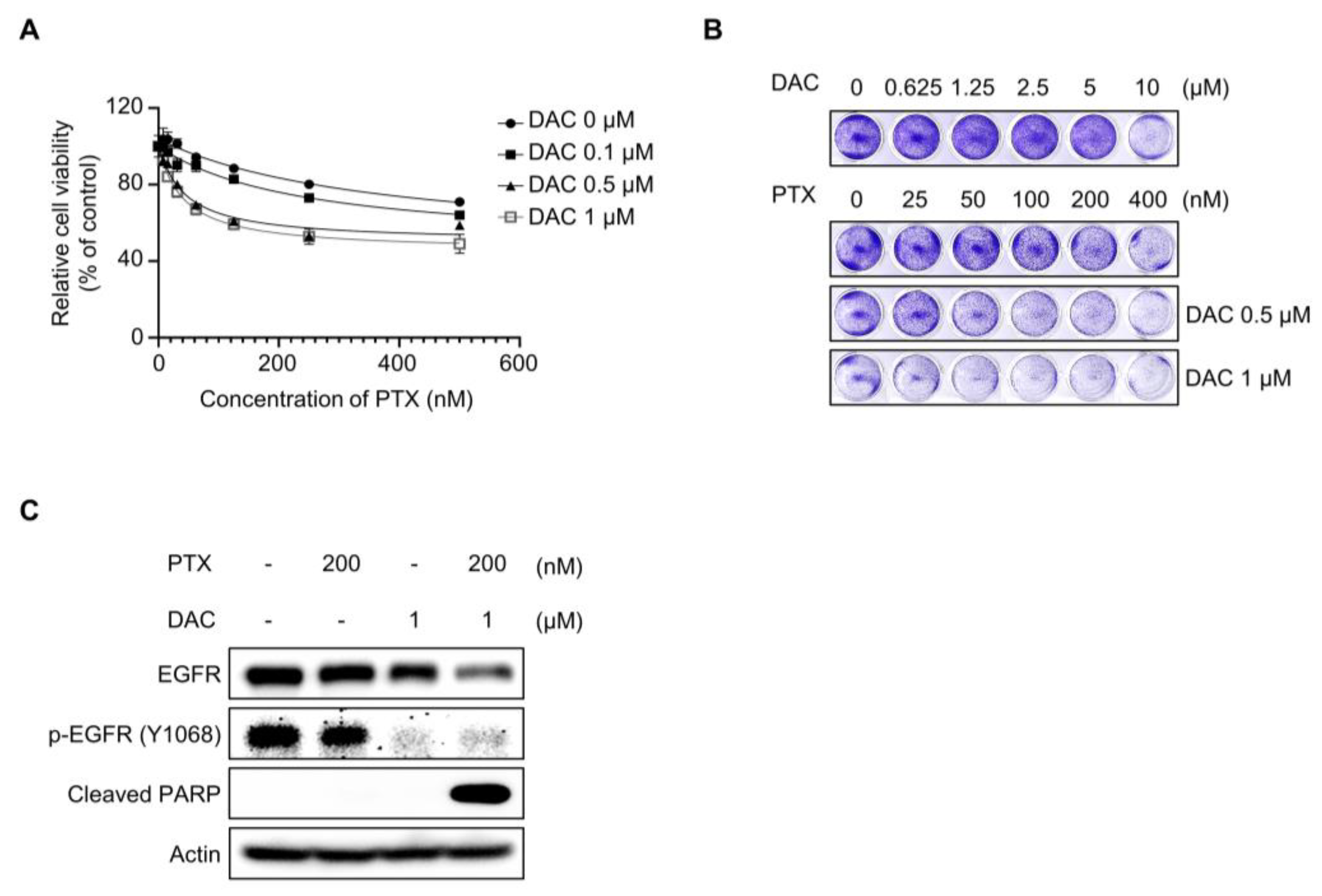 Molecules 29 00274 g007 Molecules 29 00274 g007