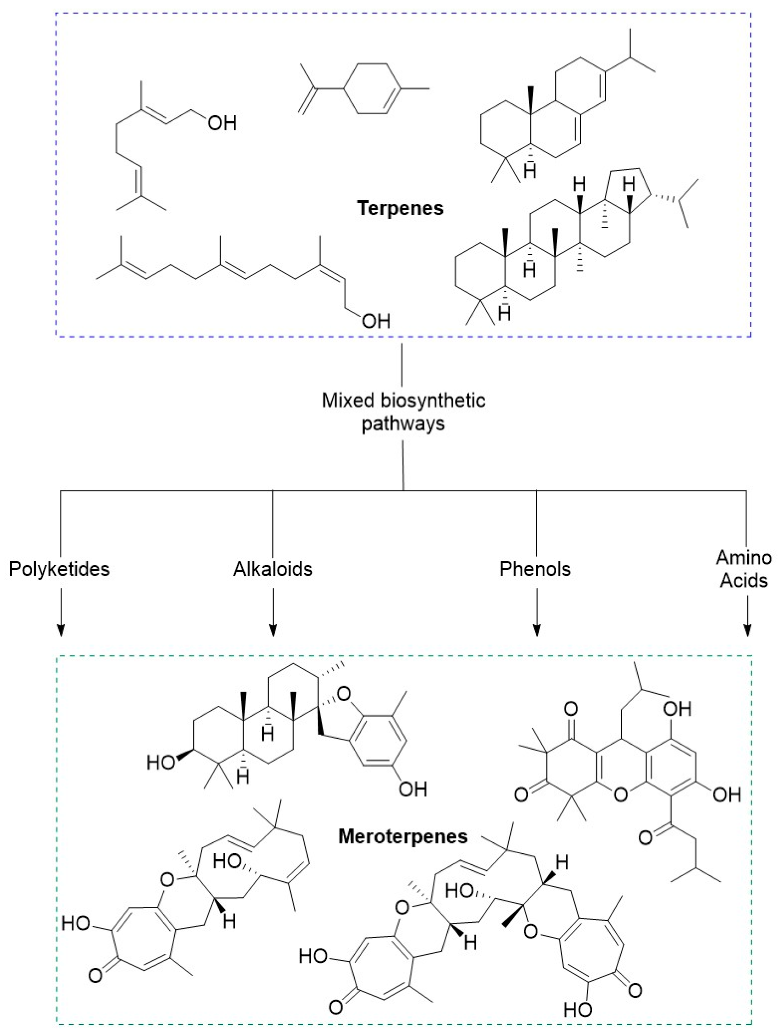 Molecules 29 00279 g002