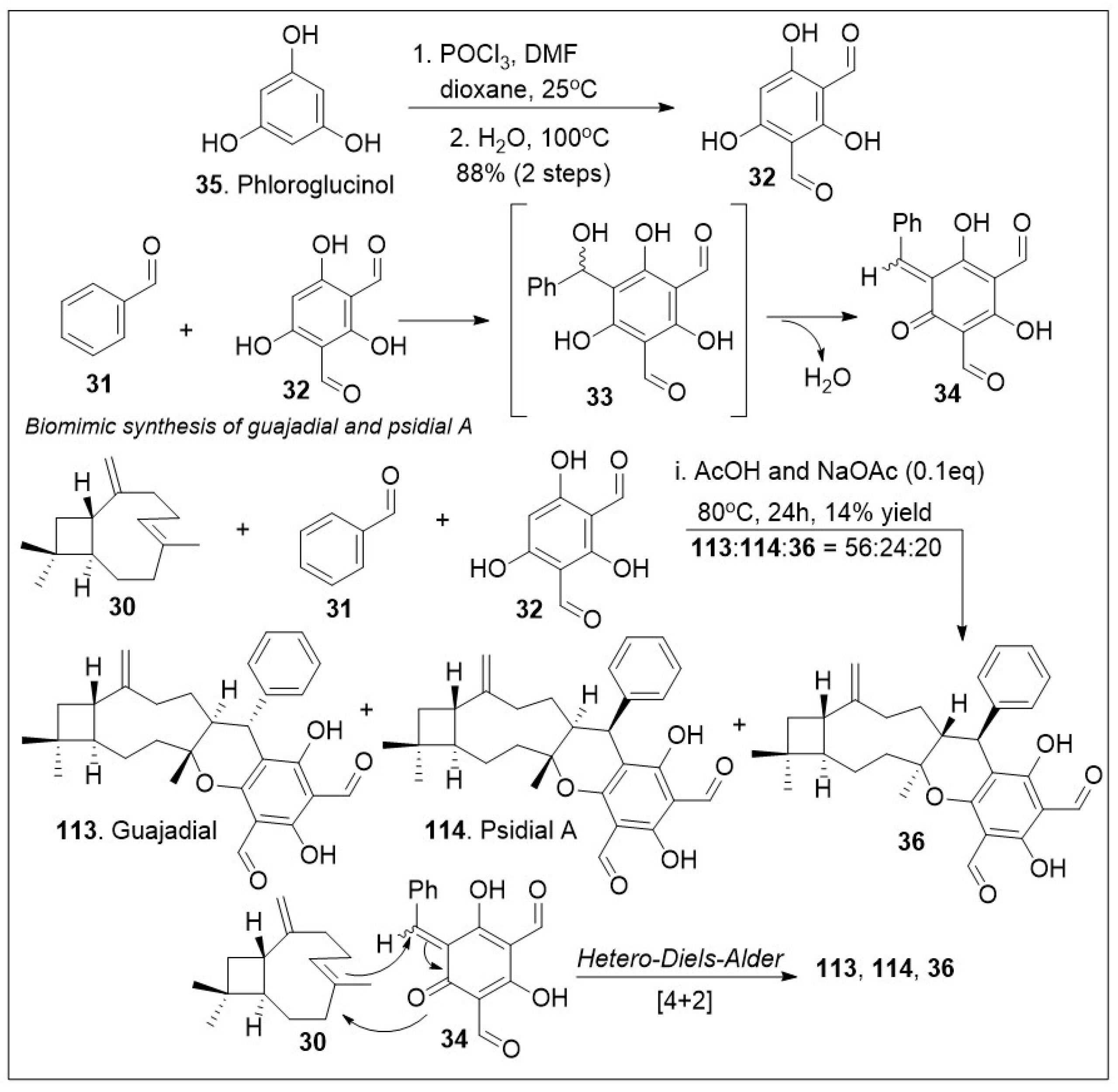 Molecules 29 00279 sch004