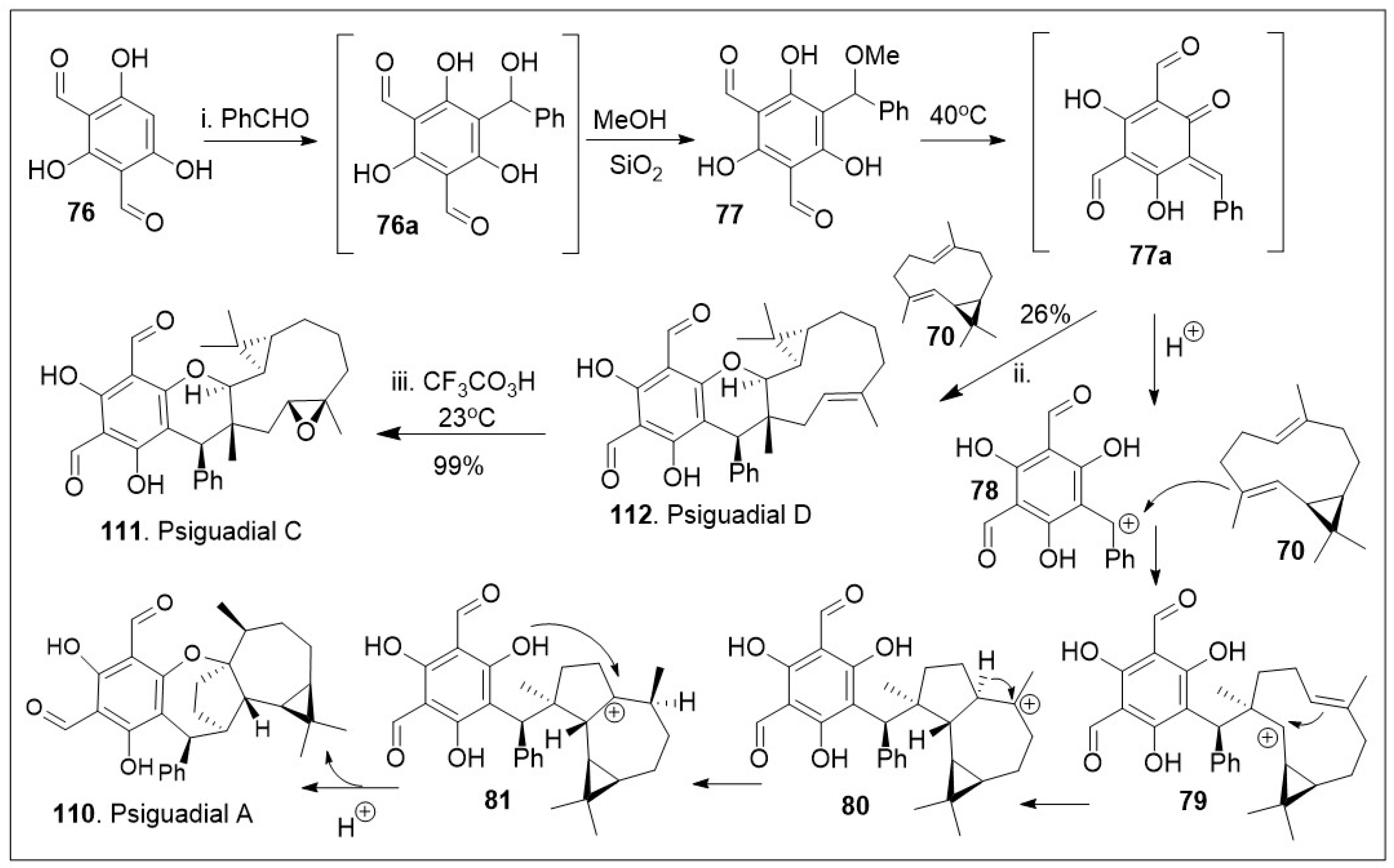 Molecules 29 00279 sch010