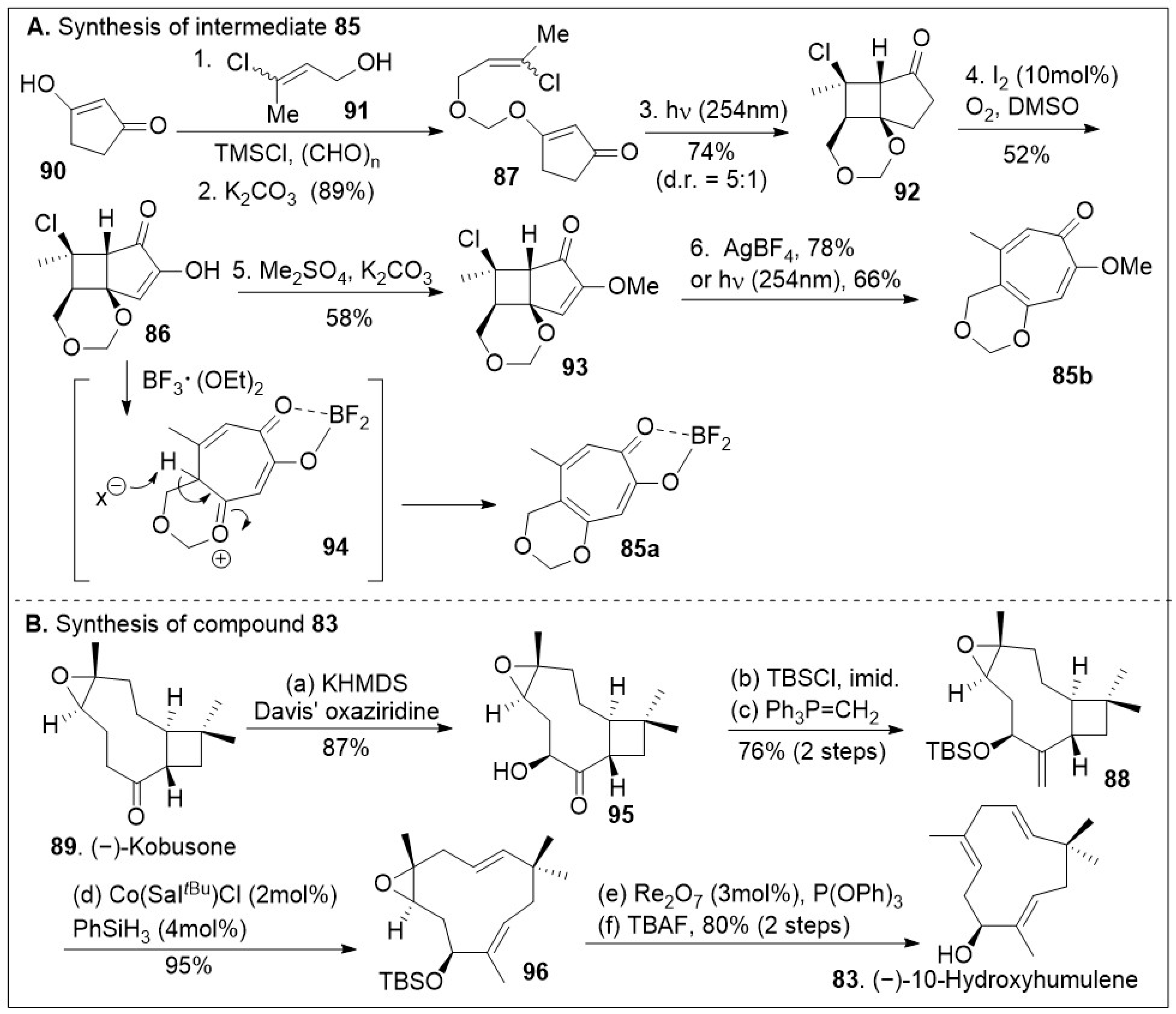 Molecules 29 00279 sch012