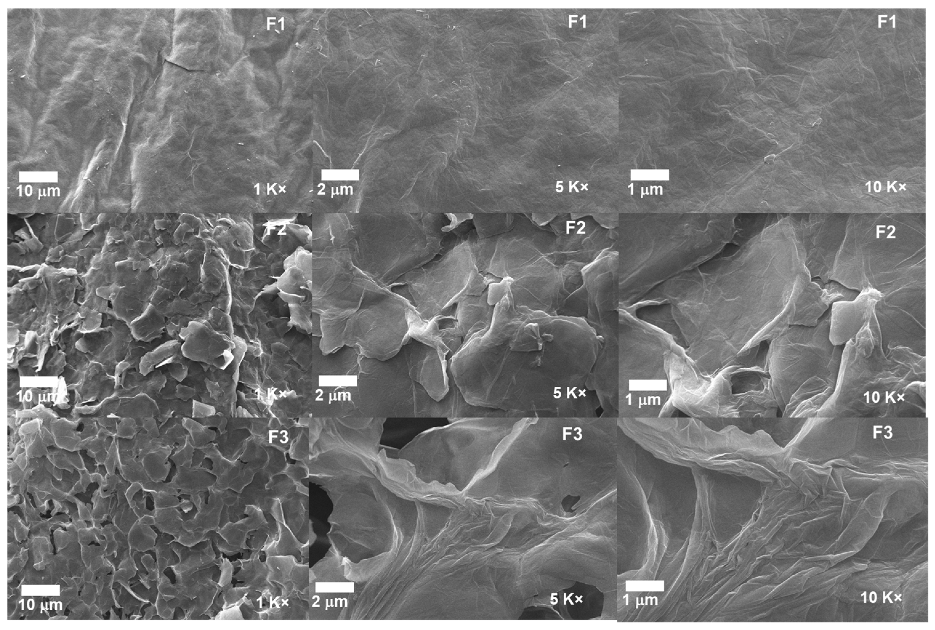 Molecules 29 00281 g007