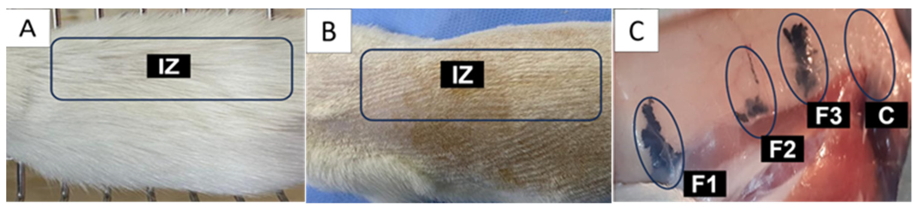 Molecules 29 00281 g009