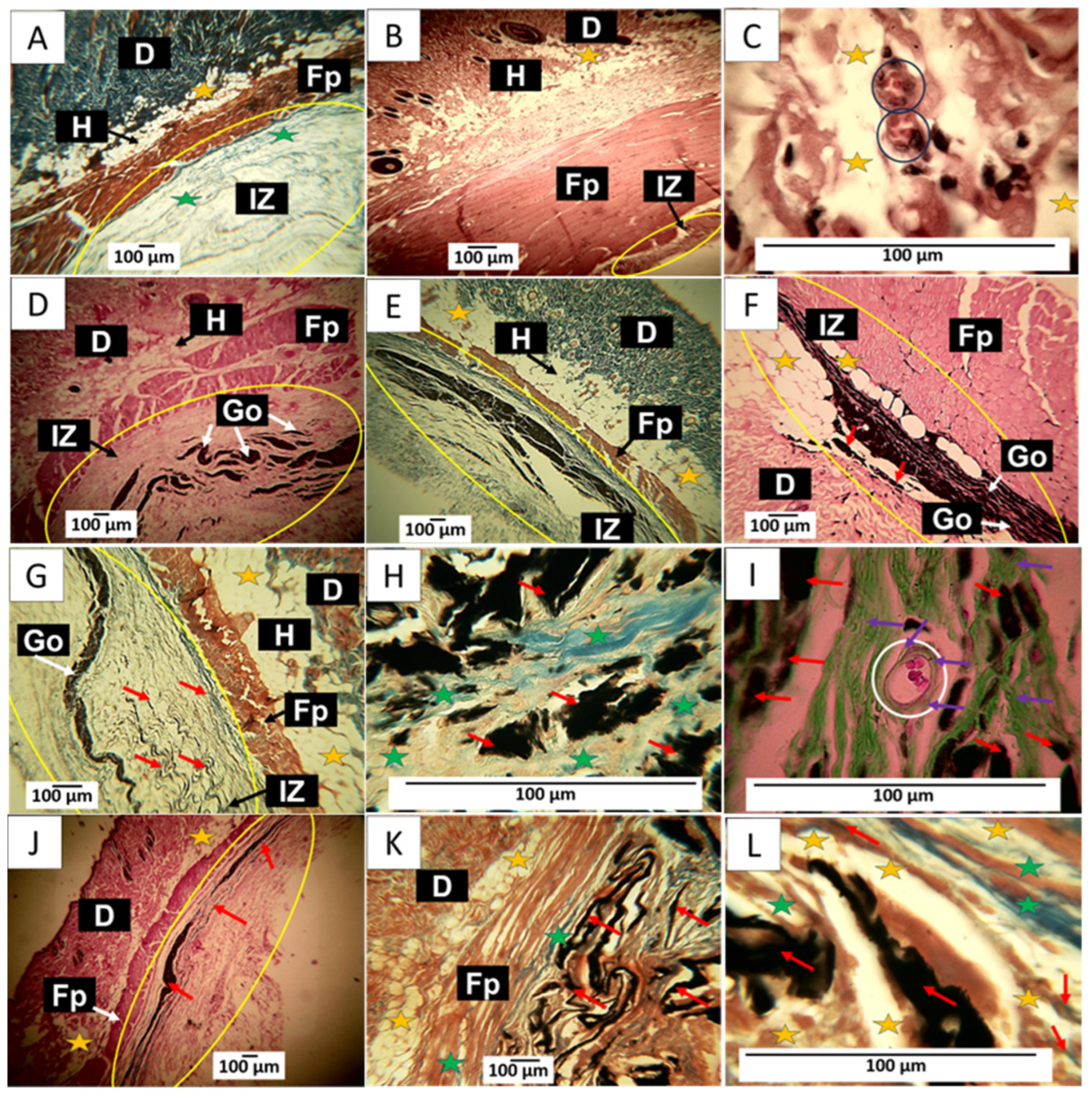Molecules 29 00281 g012