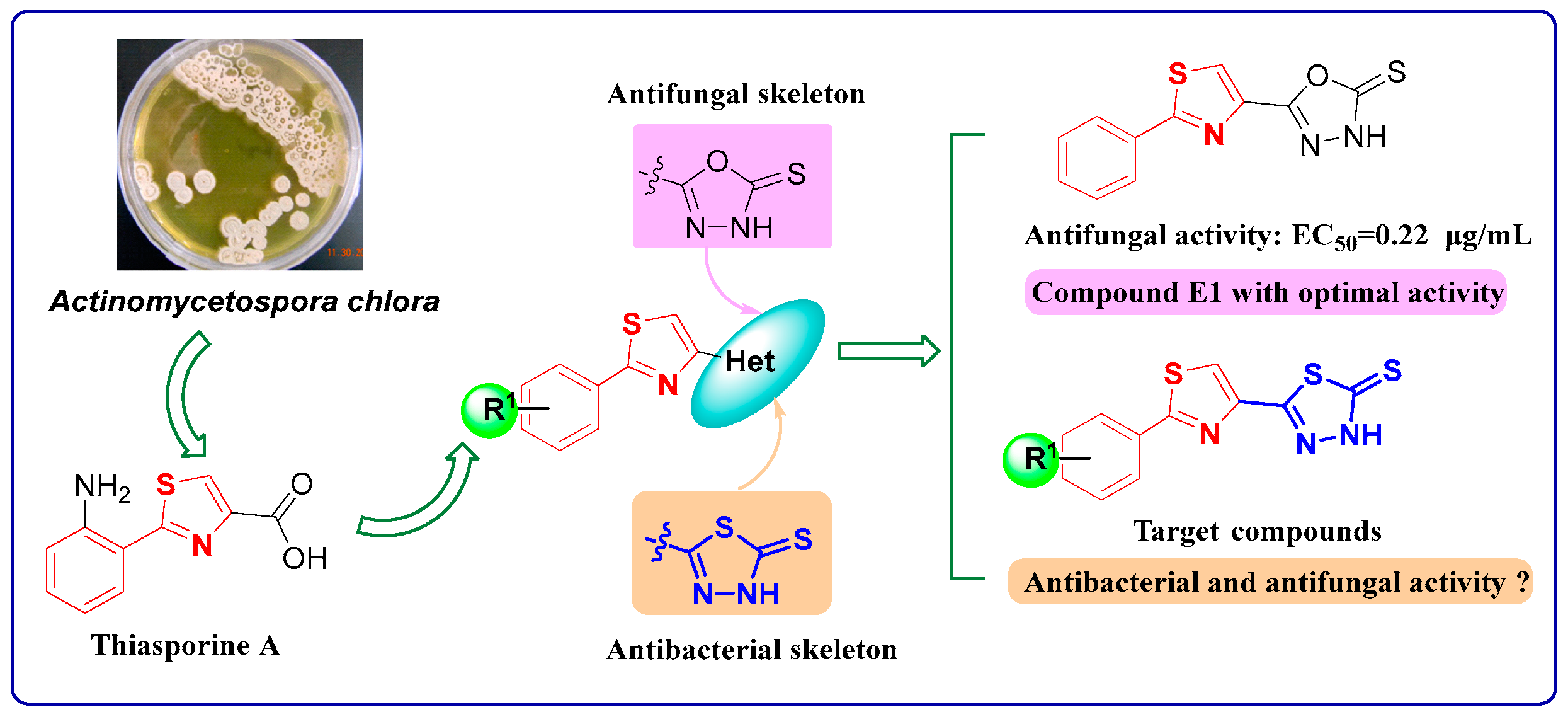 Molecules 29 00285 g002