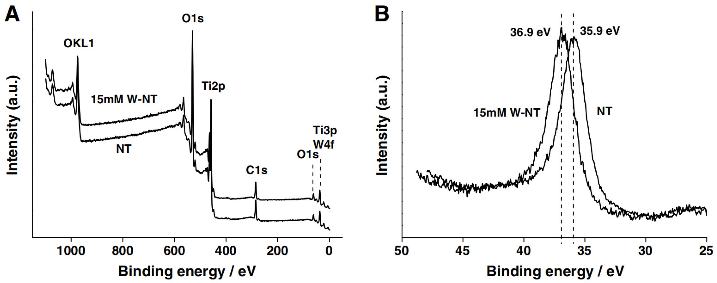 Molecules 29 00289 g003