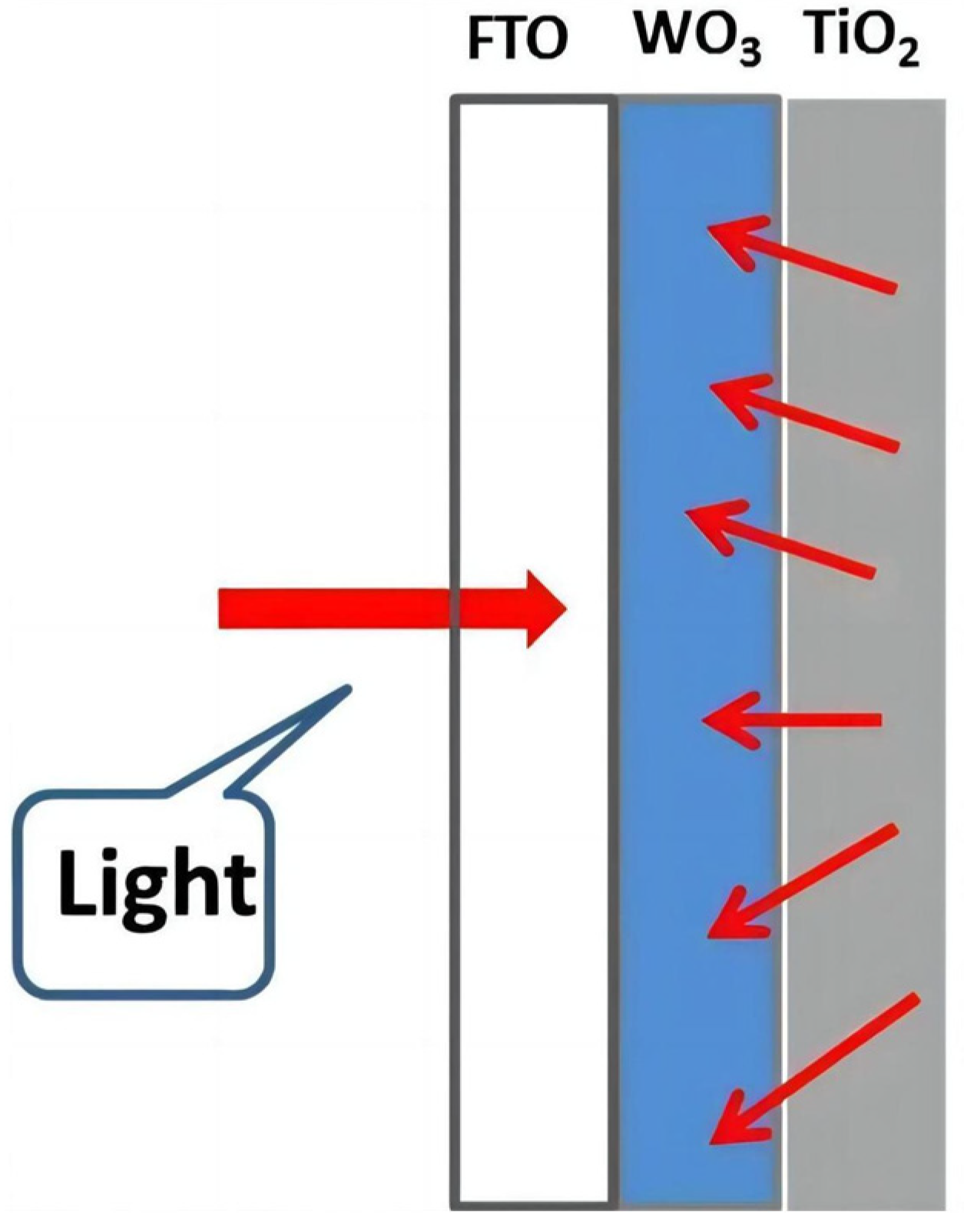 Molecules 29 00289 g008