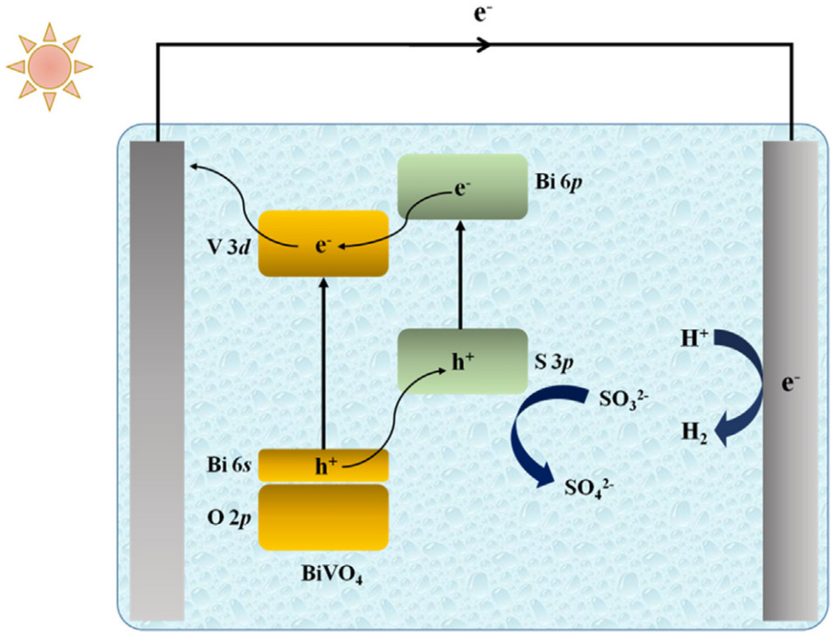Molecules 29 00289 g012