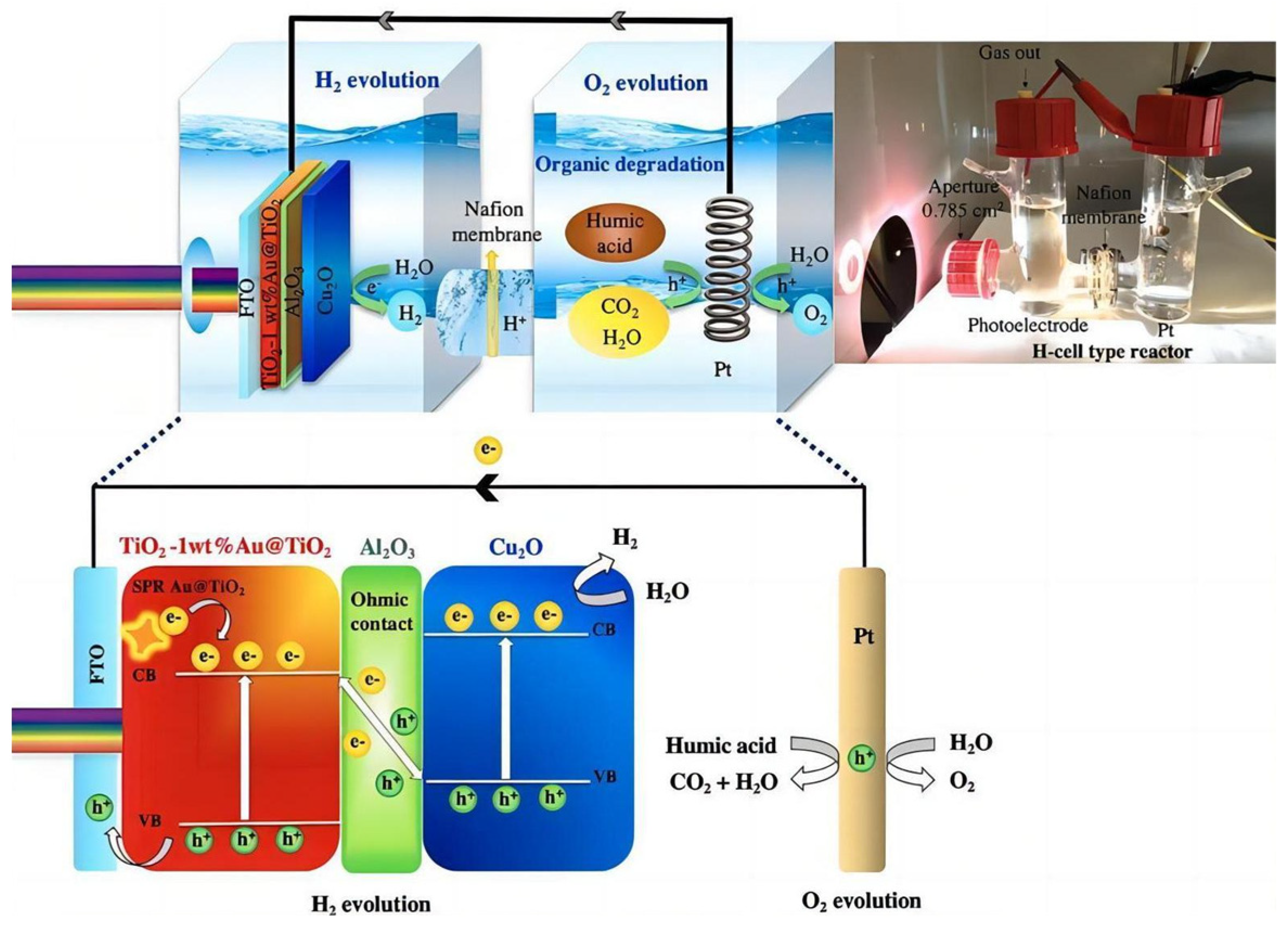 Molecules 29 00289 g013