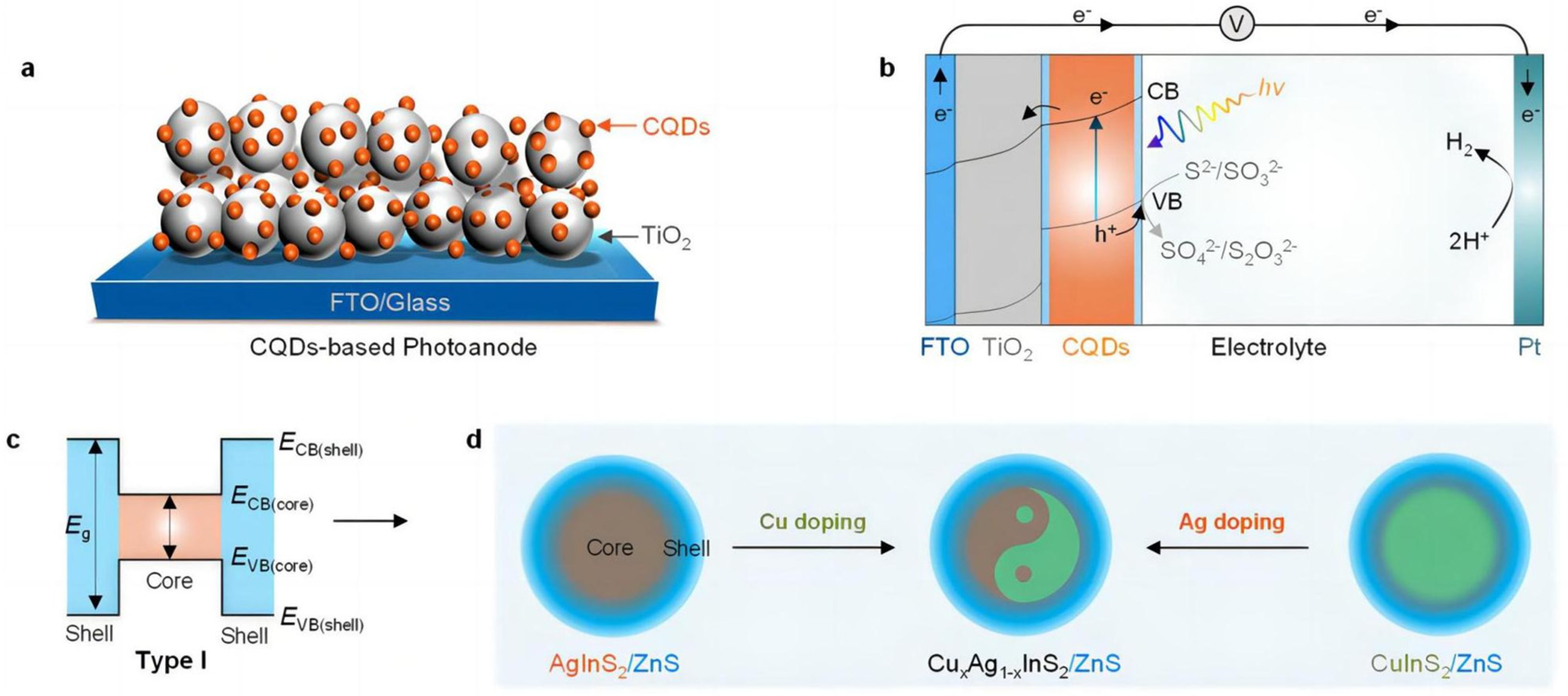 Molecules 29 00289 g017