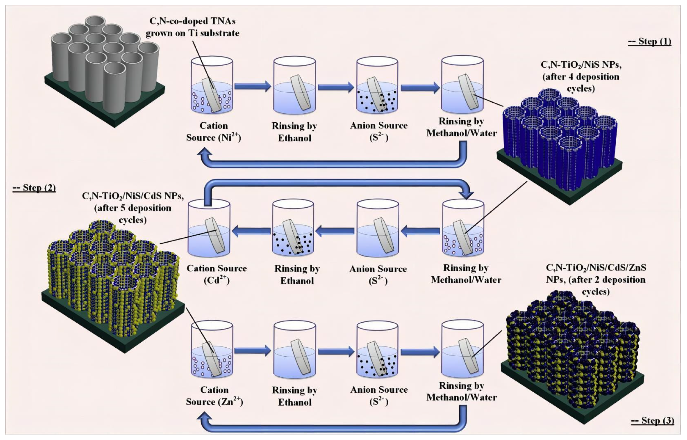 Molecules 29 00289 g018