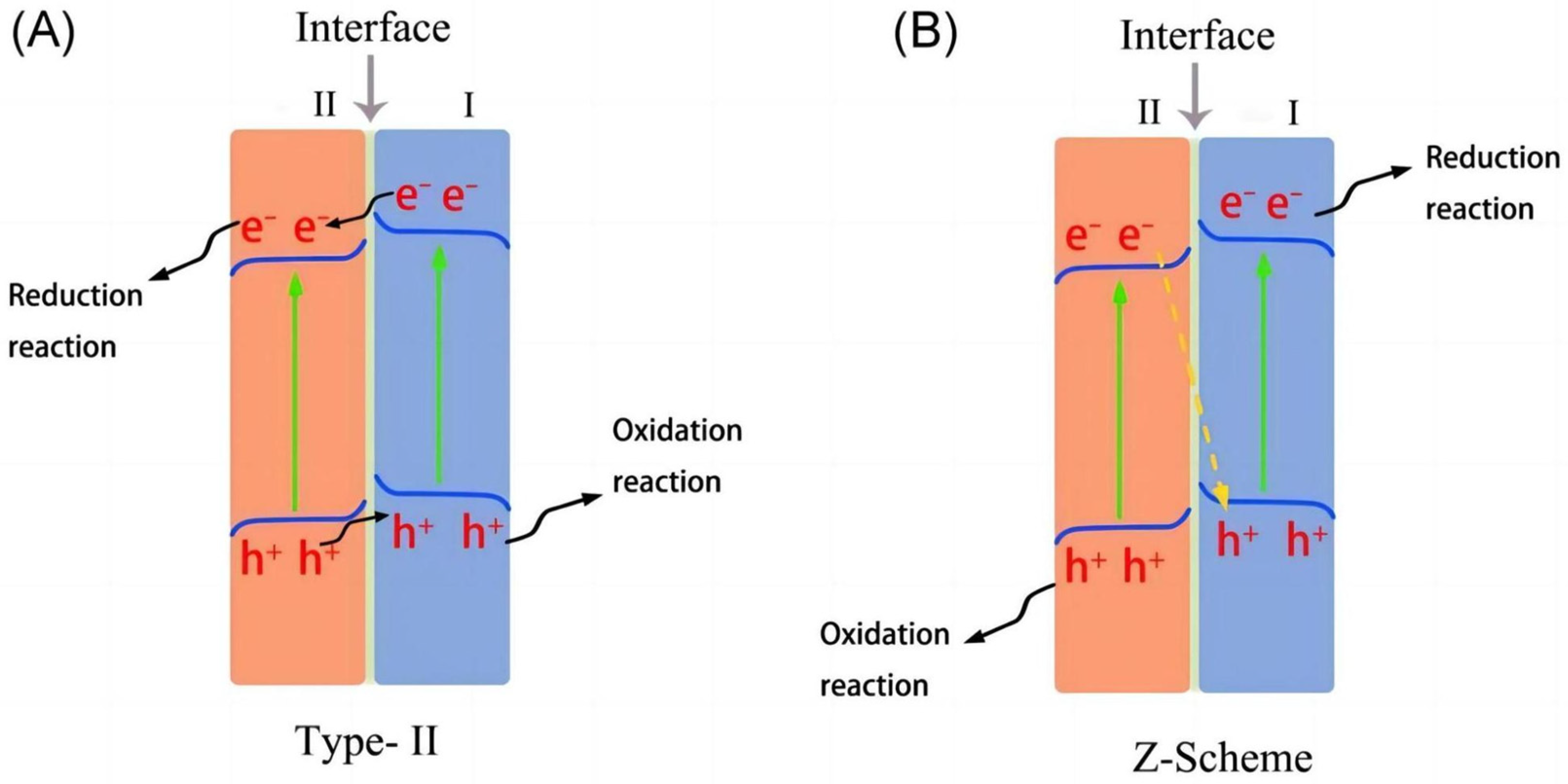 Molecules 29 00289 g025