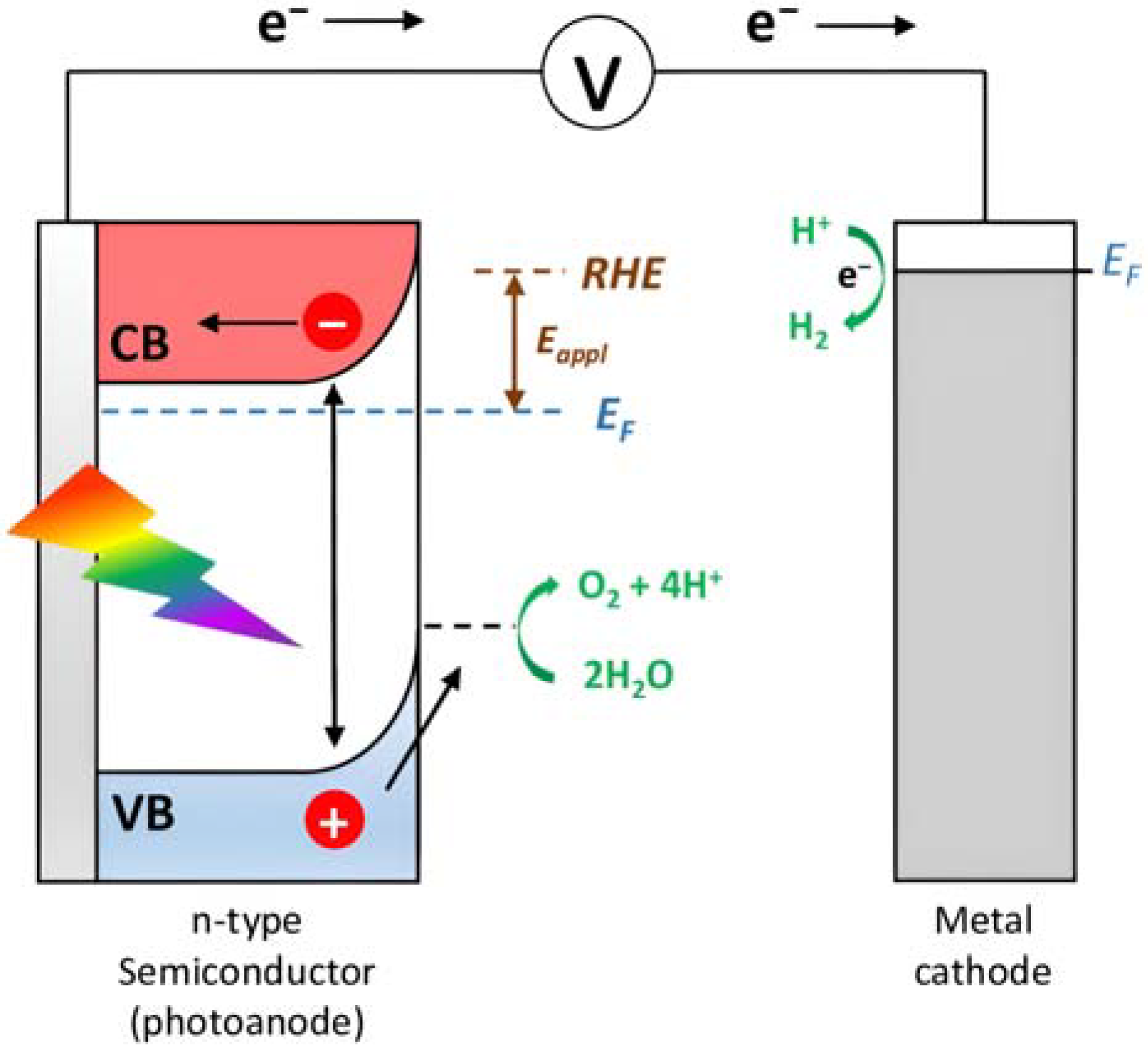 Molecules 29 00293 g001