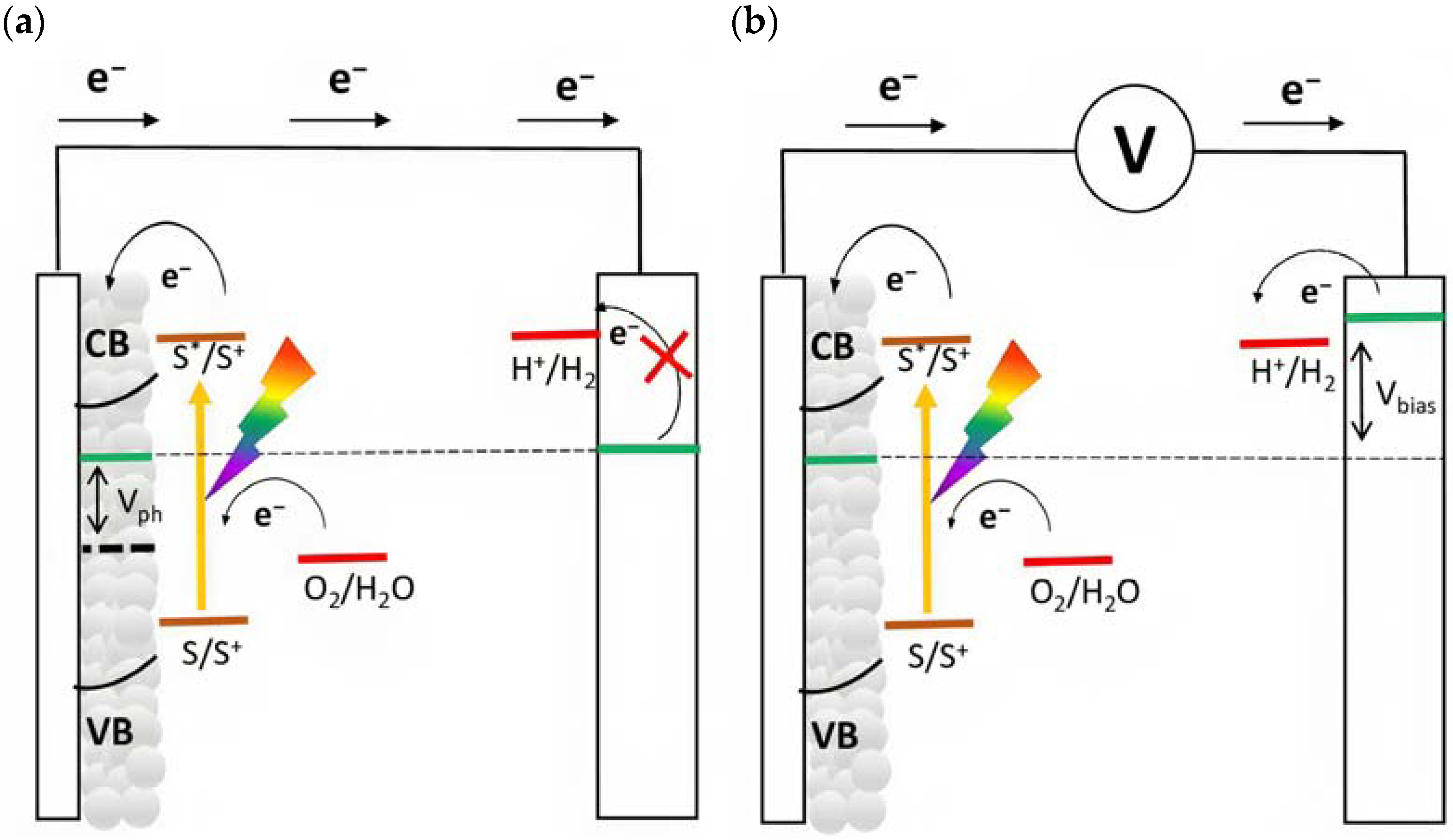 Molecules 29 00293 g004