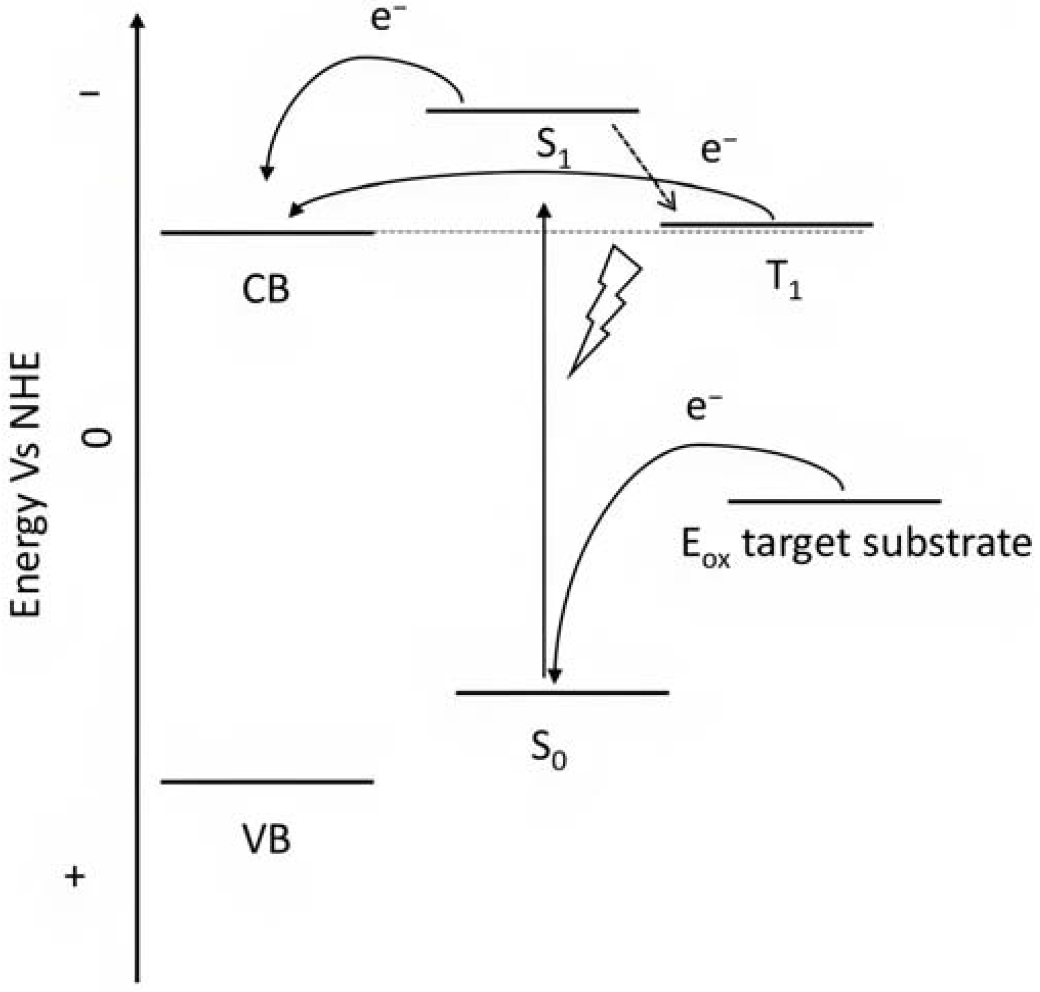 Molecules 29 00293 g009